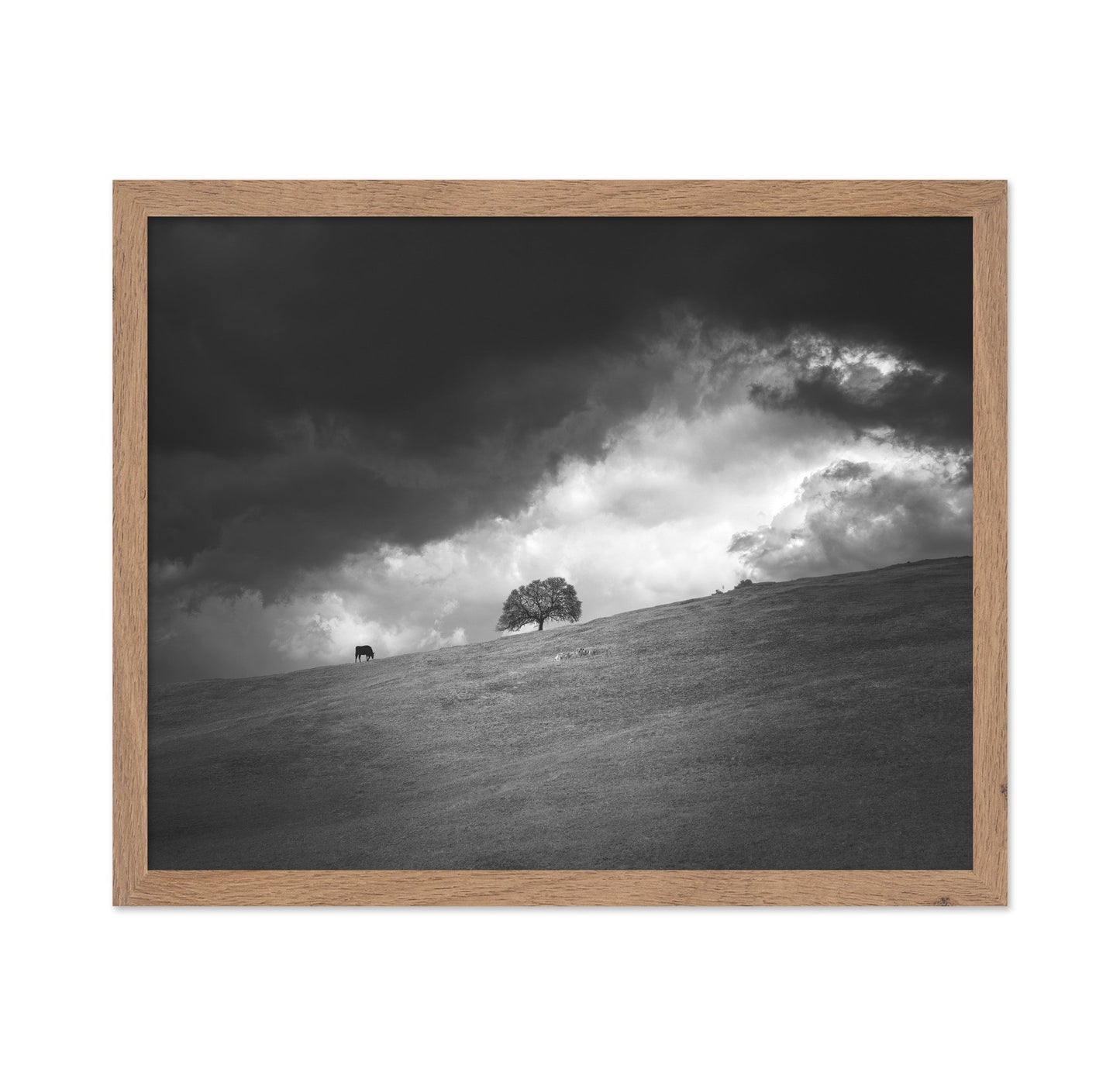 Stormy Hill Tree