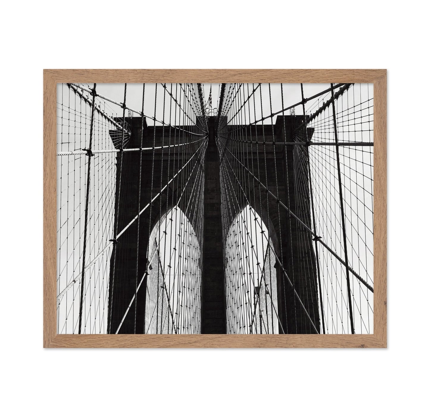 Bridge Cable Lines