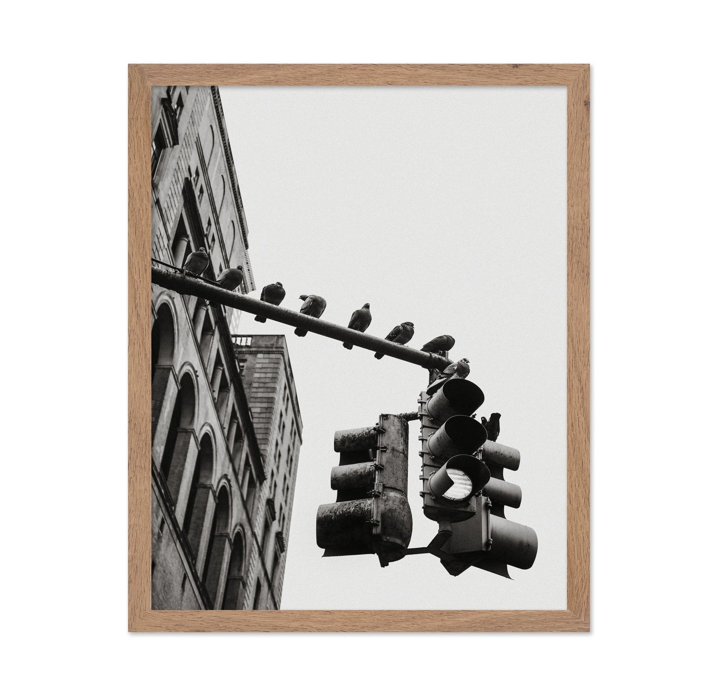 City Doves Line