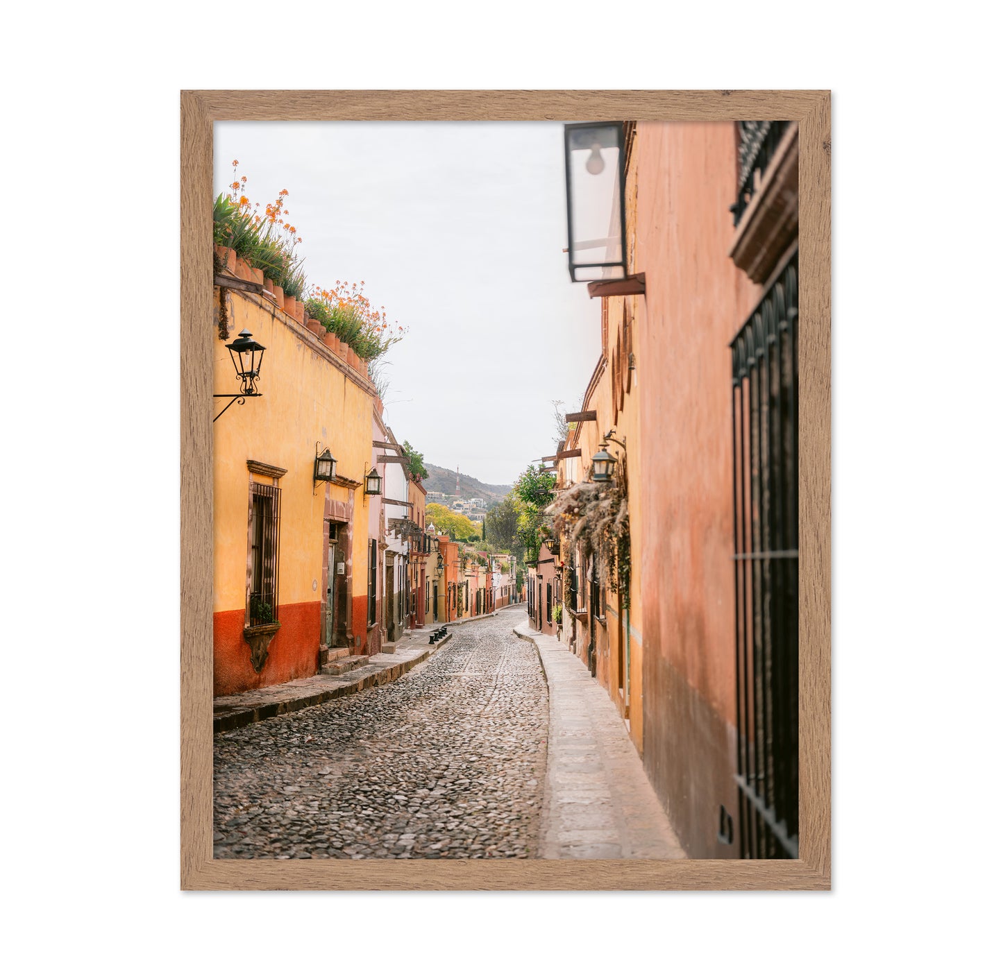 San Miguel Street