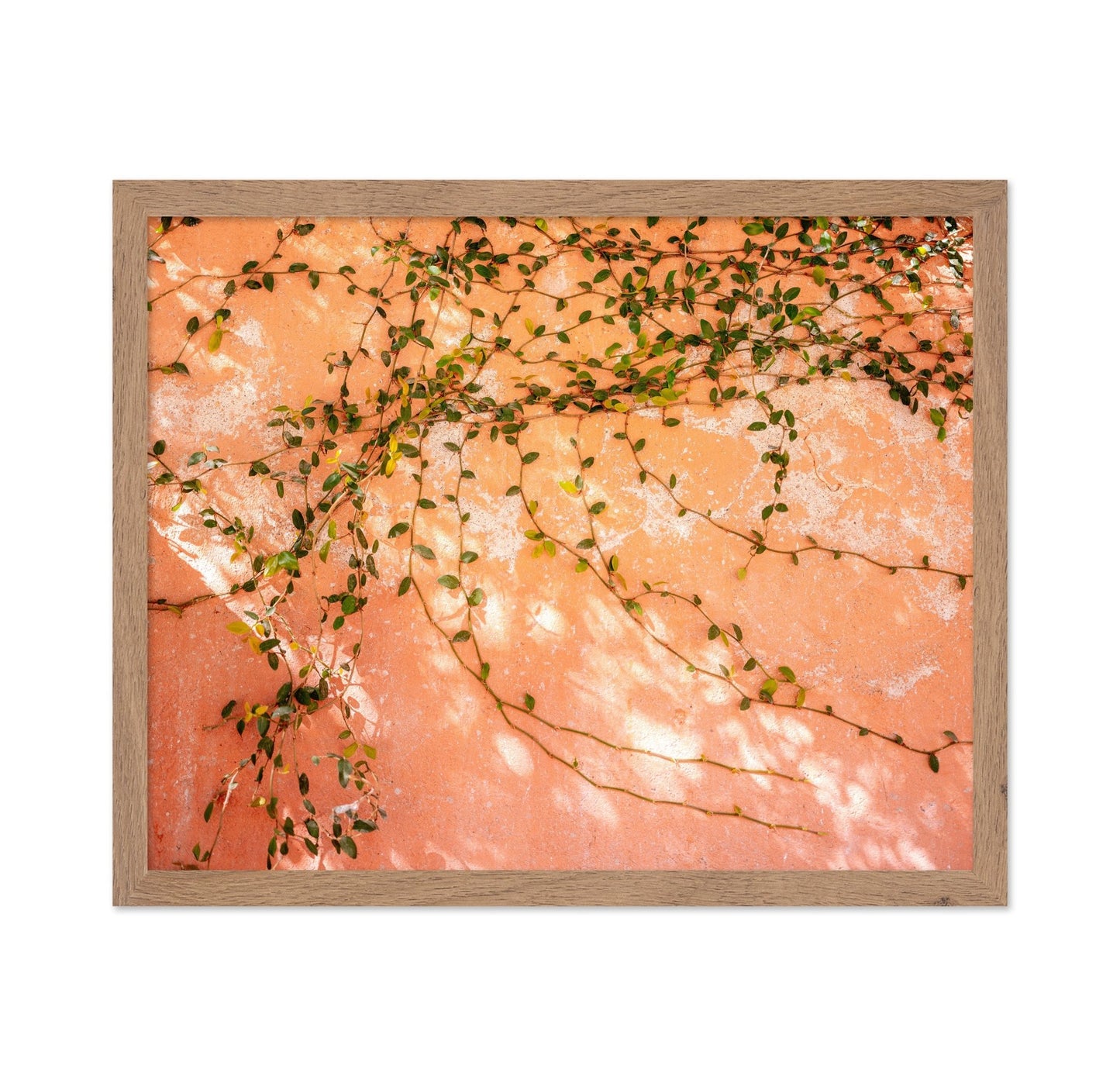 Vine Wall Texture