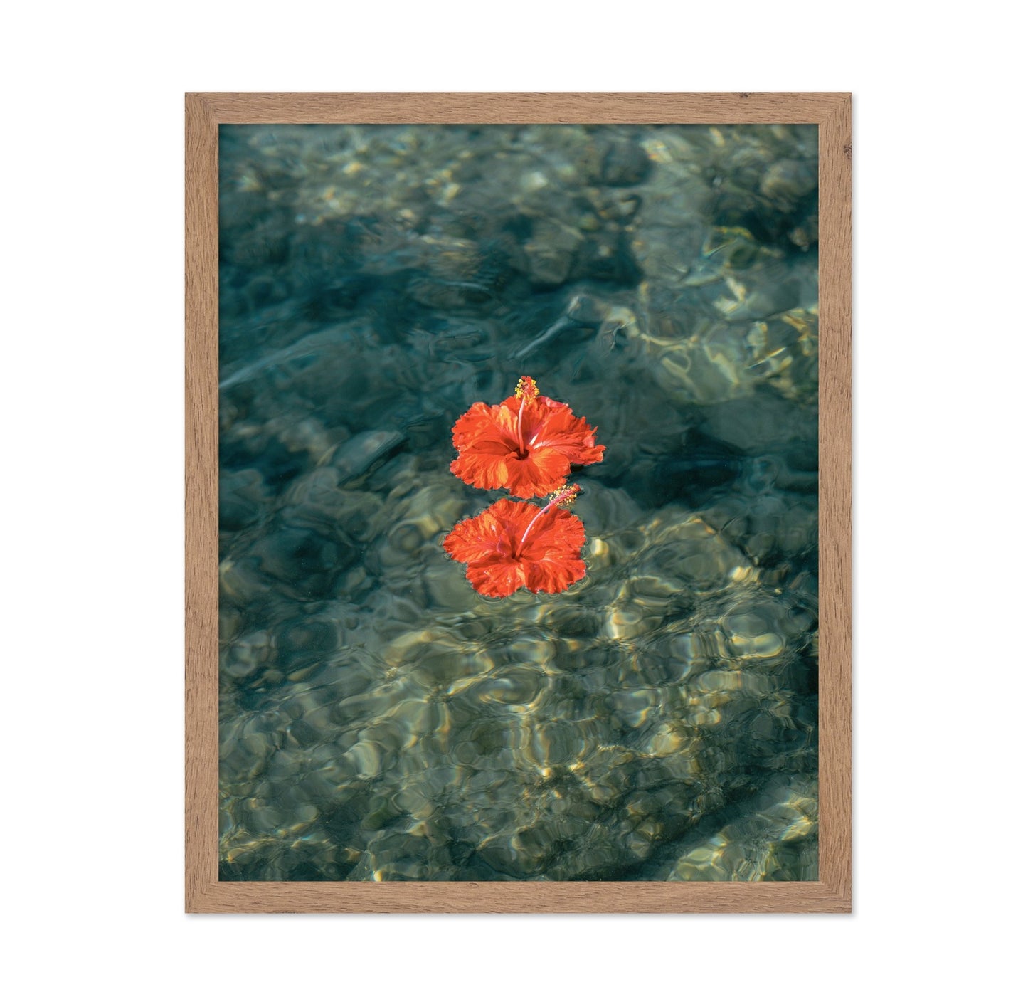 Red Hibiscus Water