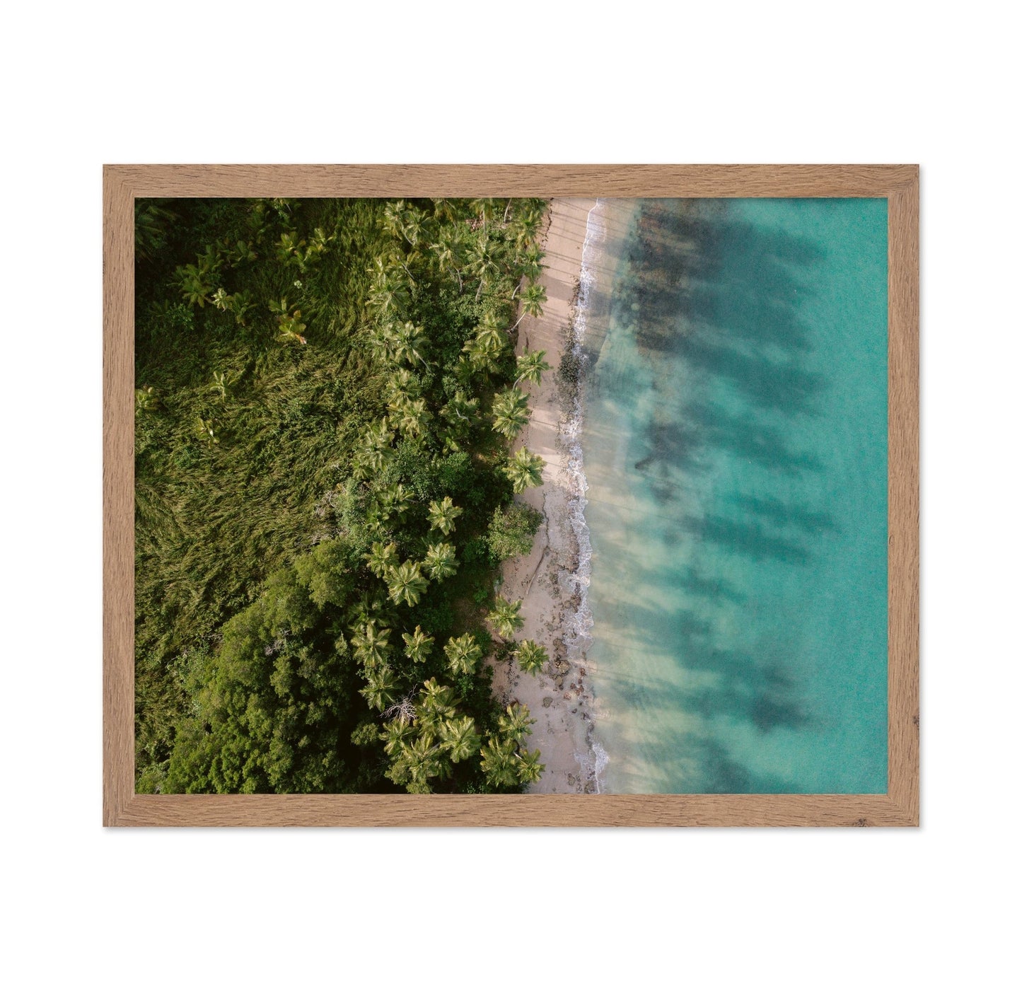 Tropical Palm Beach