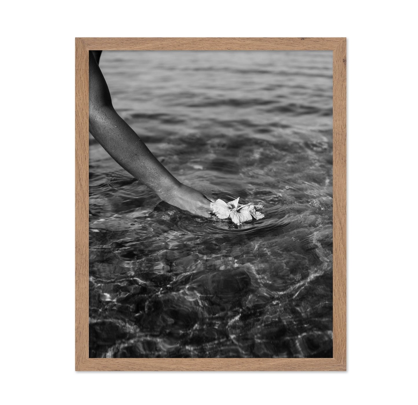 Ocean Flower Touch