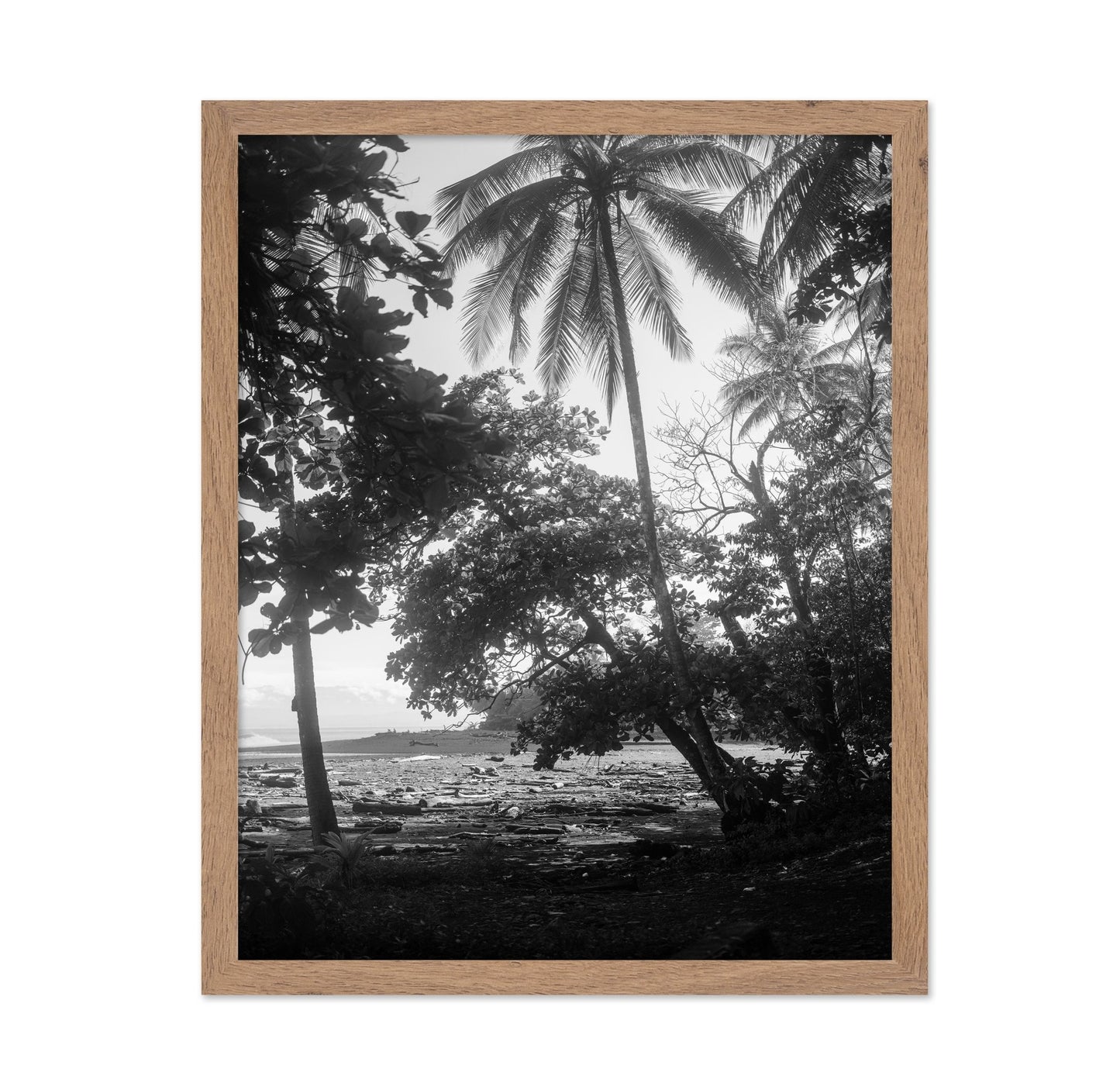 Tropical Palm Shore