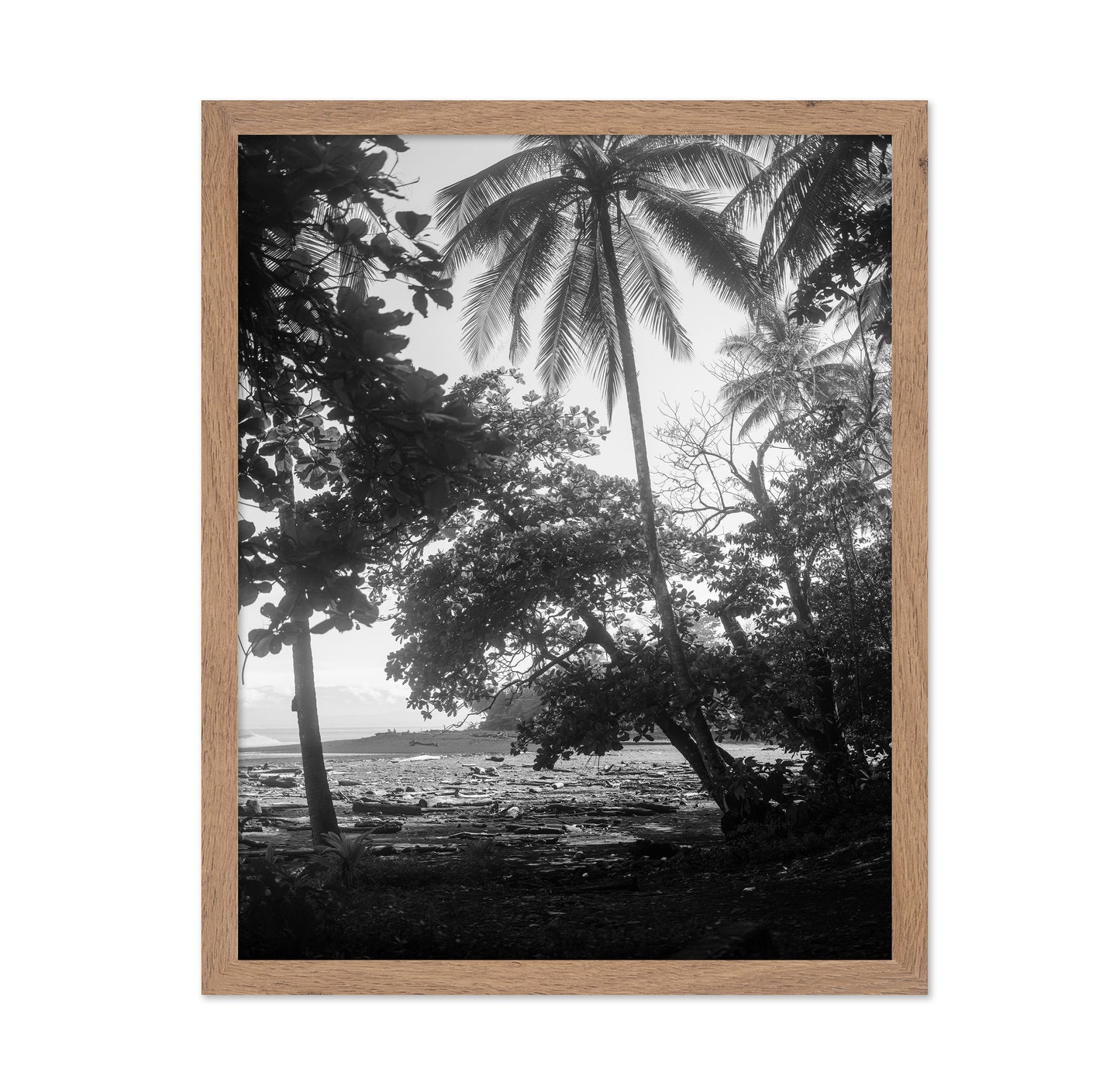Tropical Palm Shore
