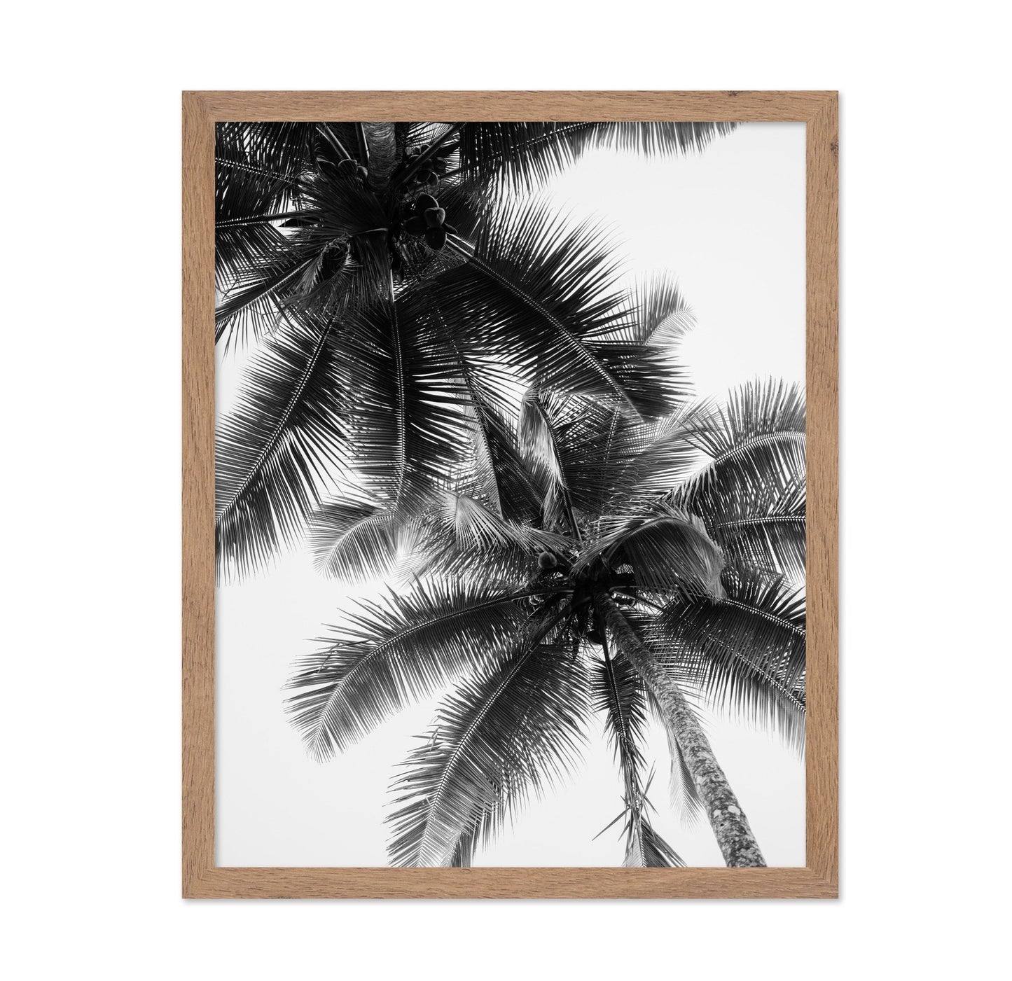 Palm Sky Silhouette No1