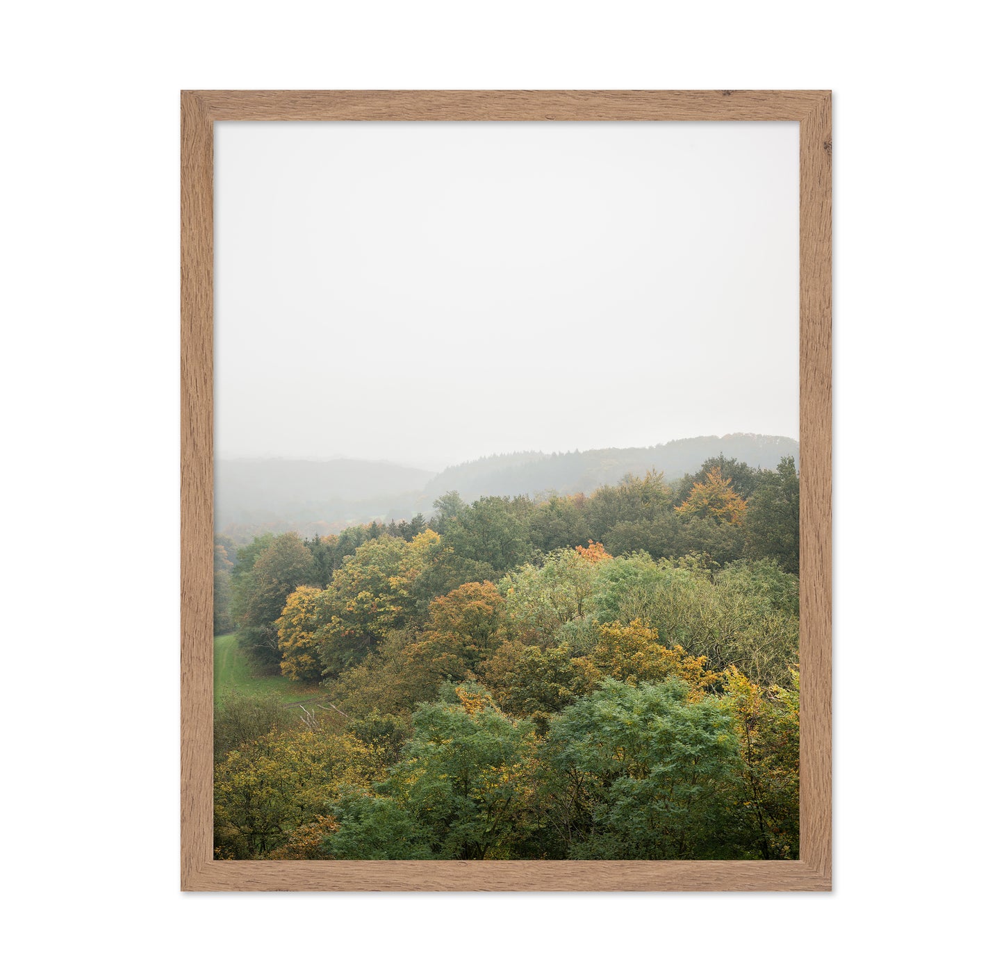 Misty Autumn Forest No2