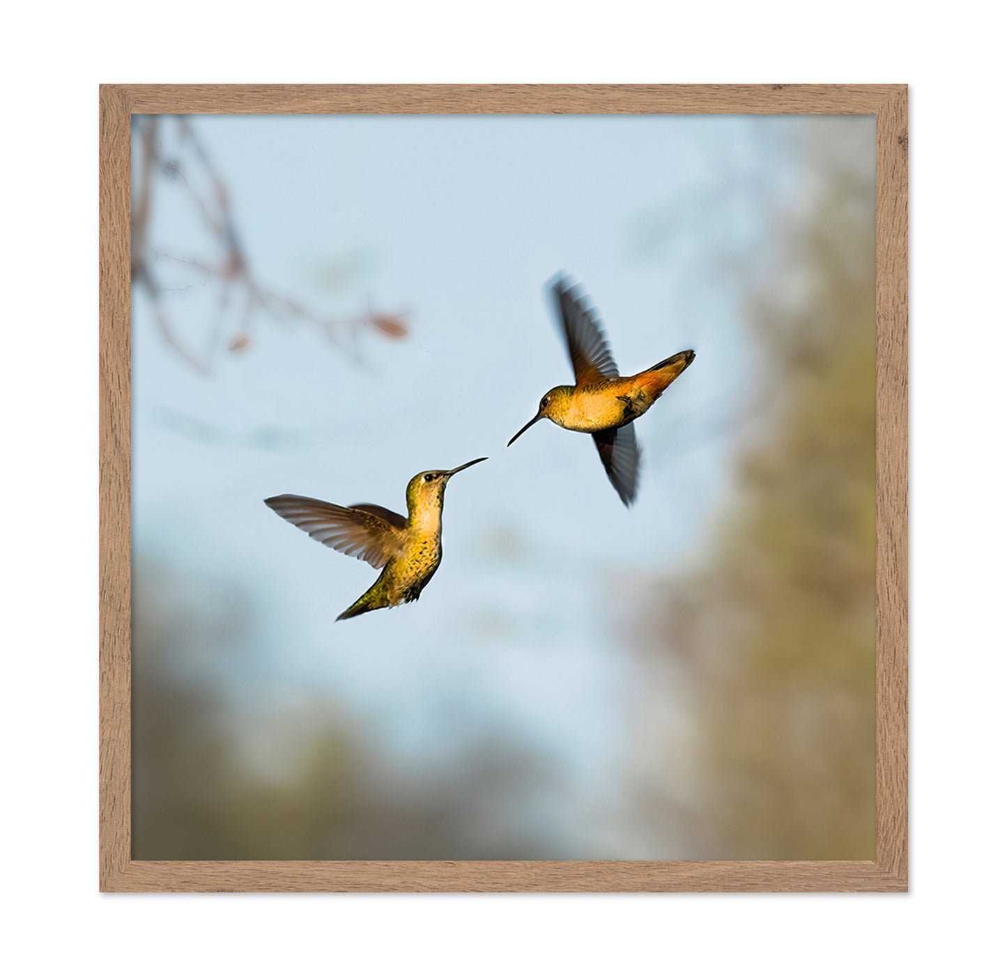 Flying Hummingbirds