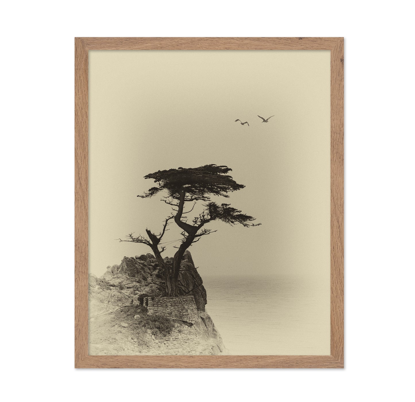 Coastal Lone Tree