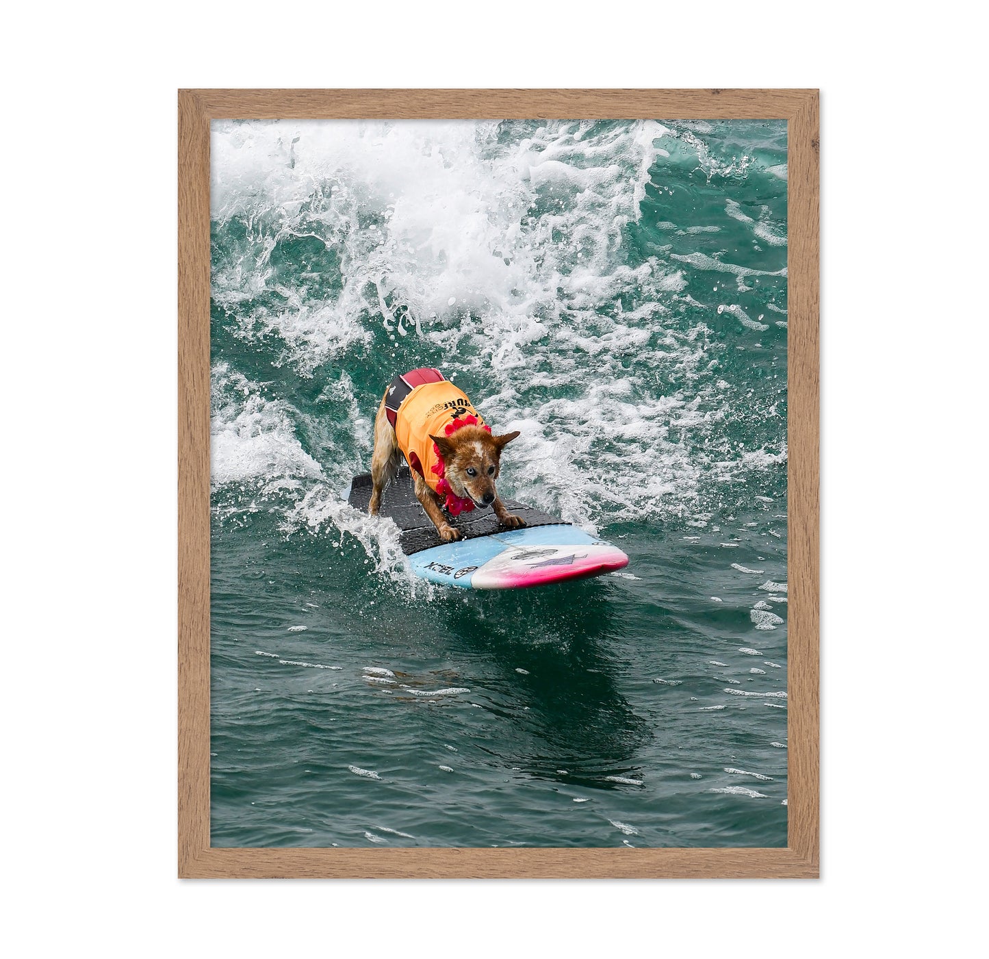 Surfing Dog