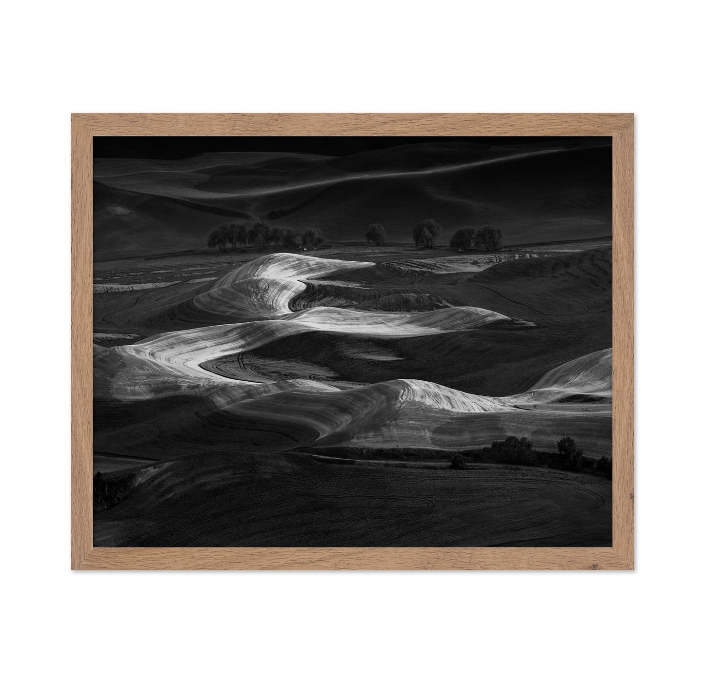 Palouse Light Waves