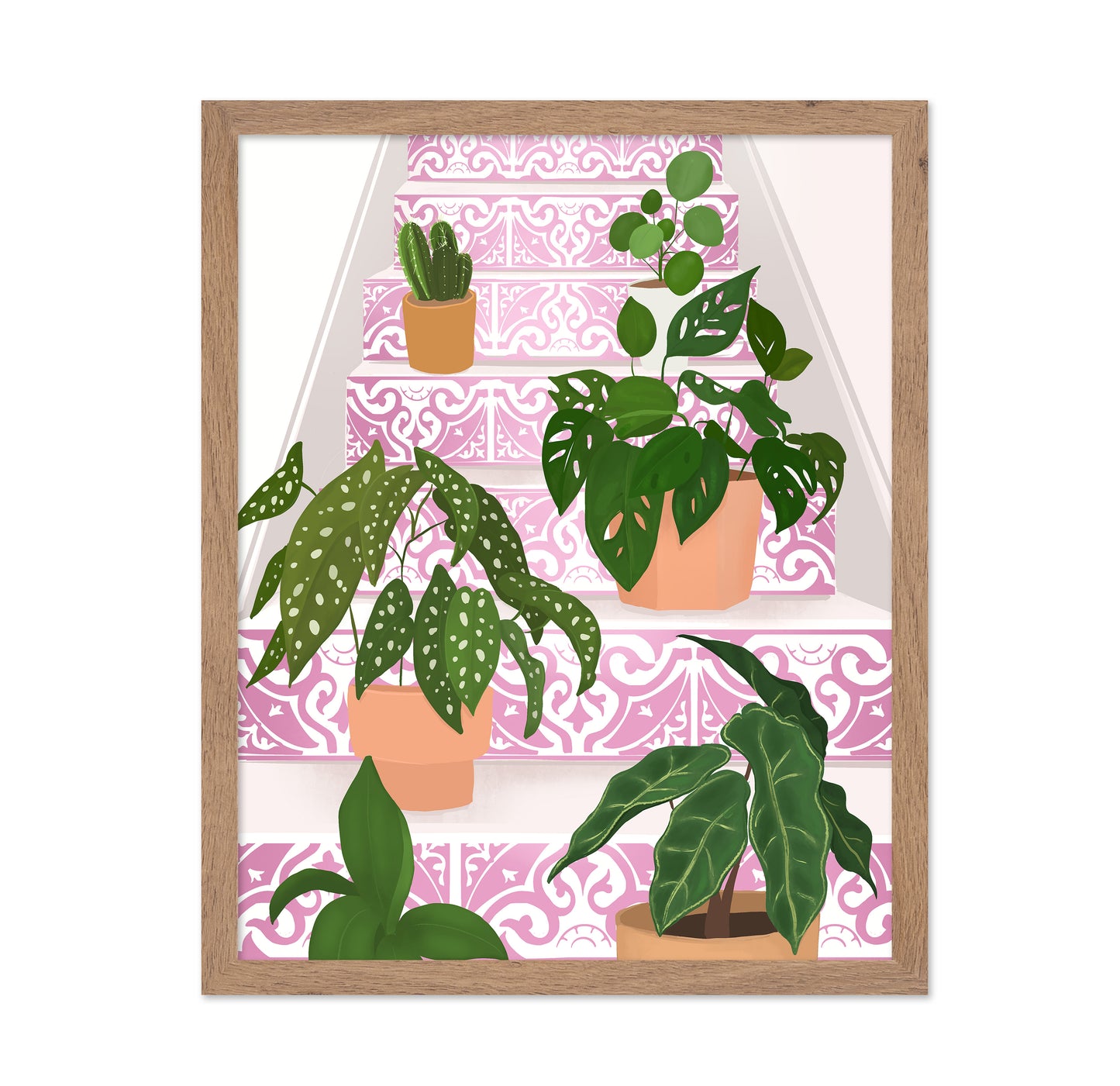 Pink Stair Plants