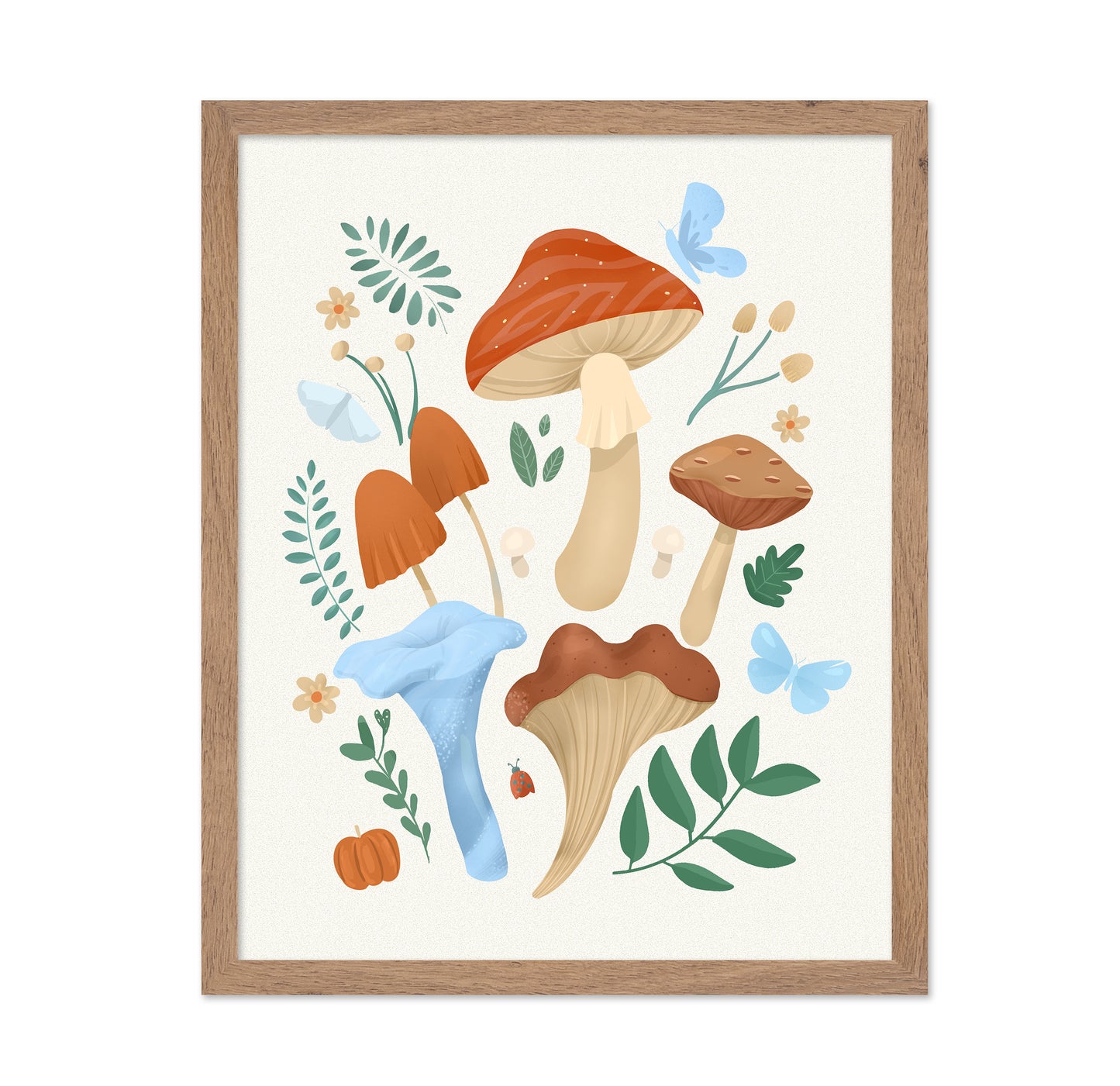 Colorful Mushroom Set