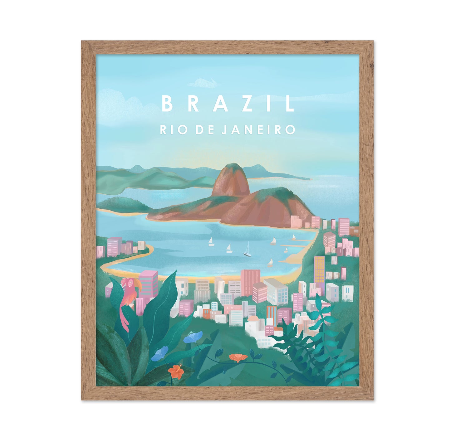 Rio De Janeiro View
