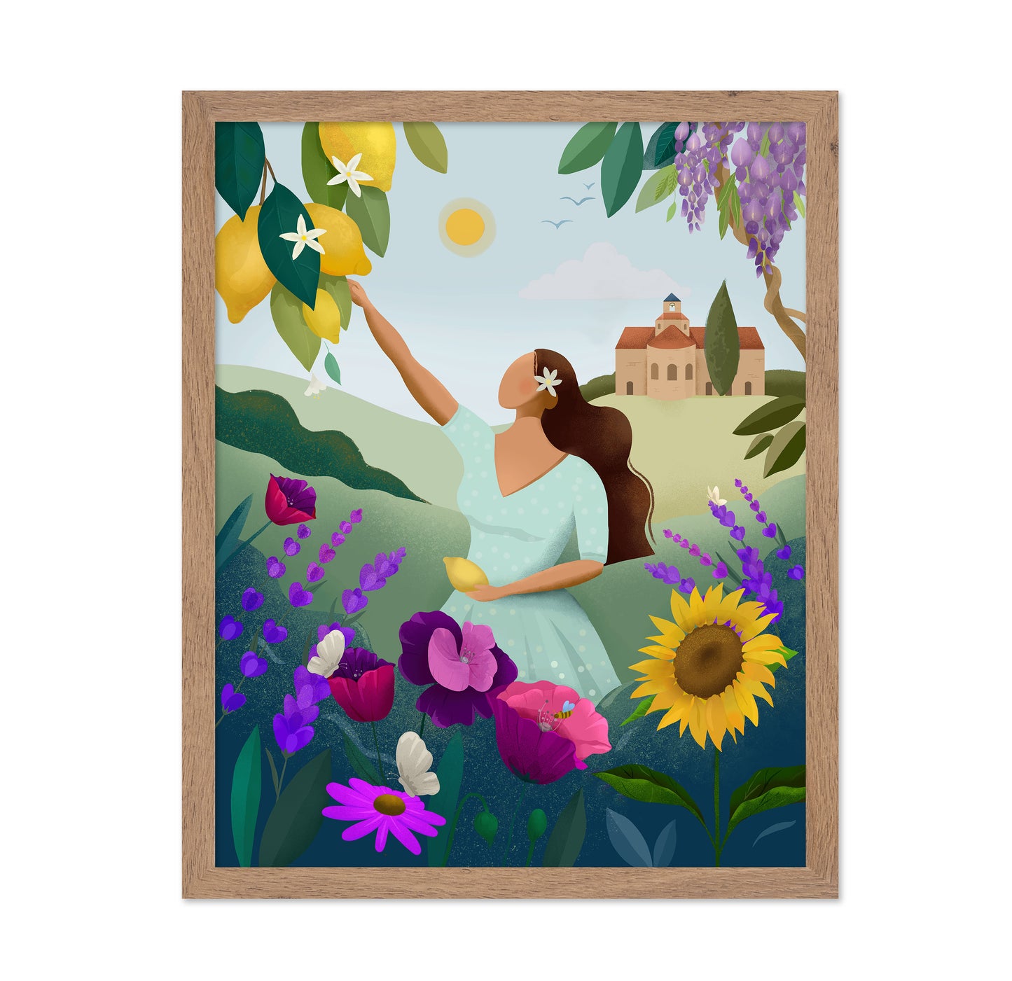 Provence Summer