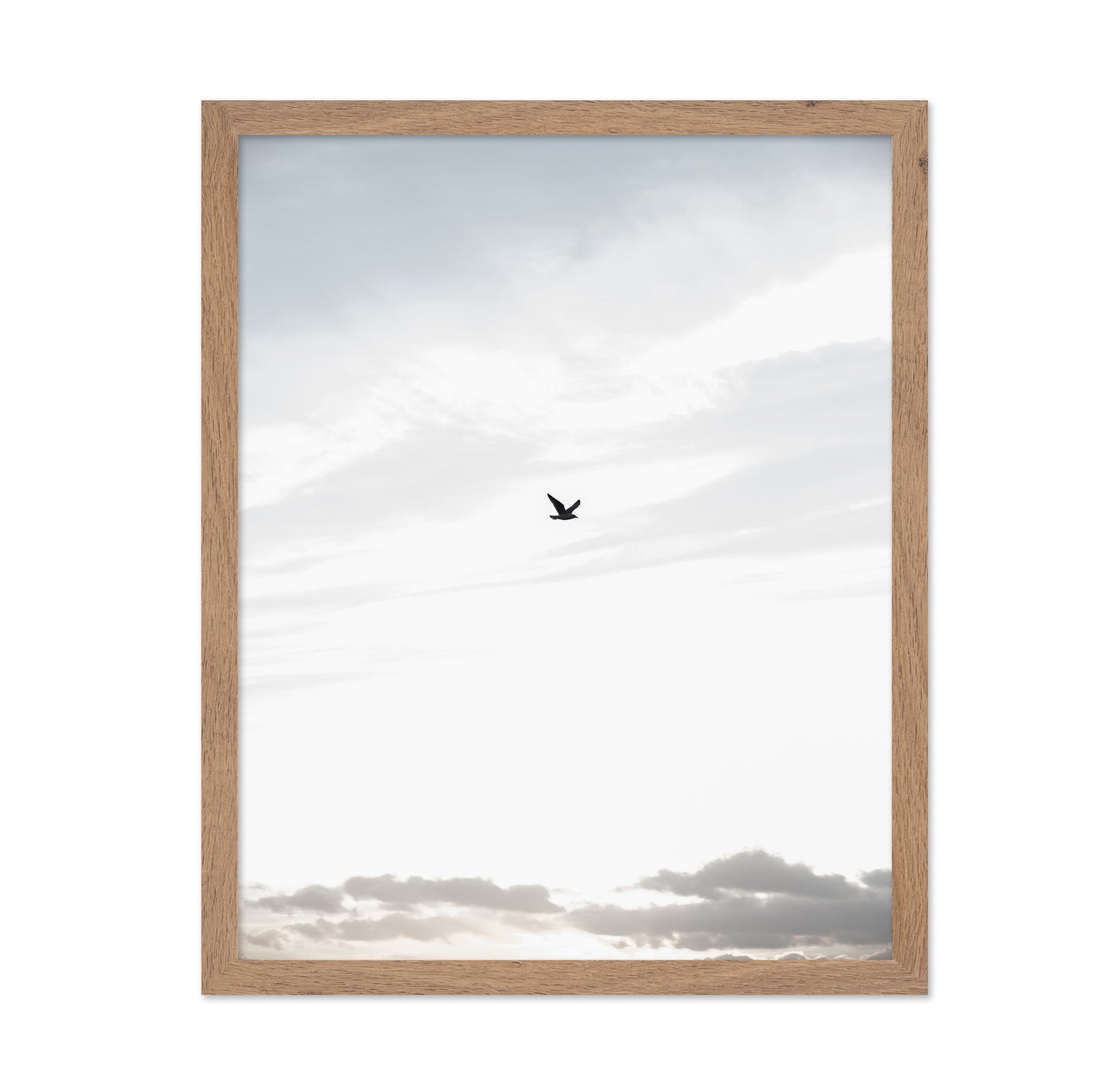 Lone Bird in Sky