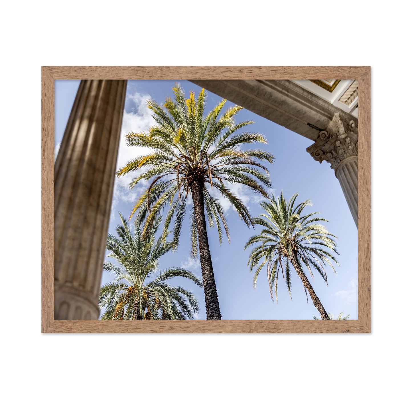Sicilian Palm View