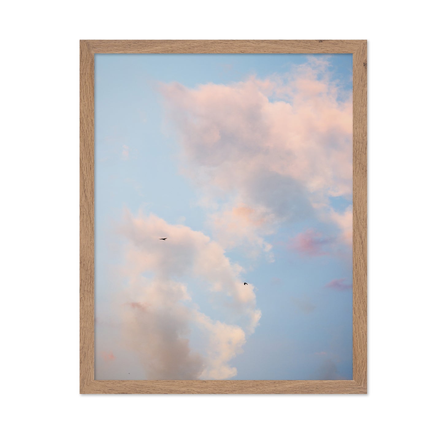 Pastel Sky with Birds