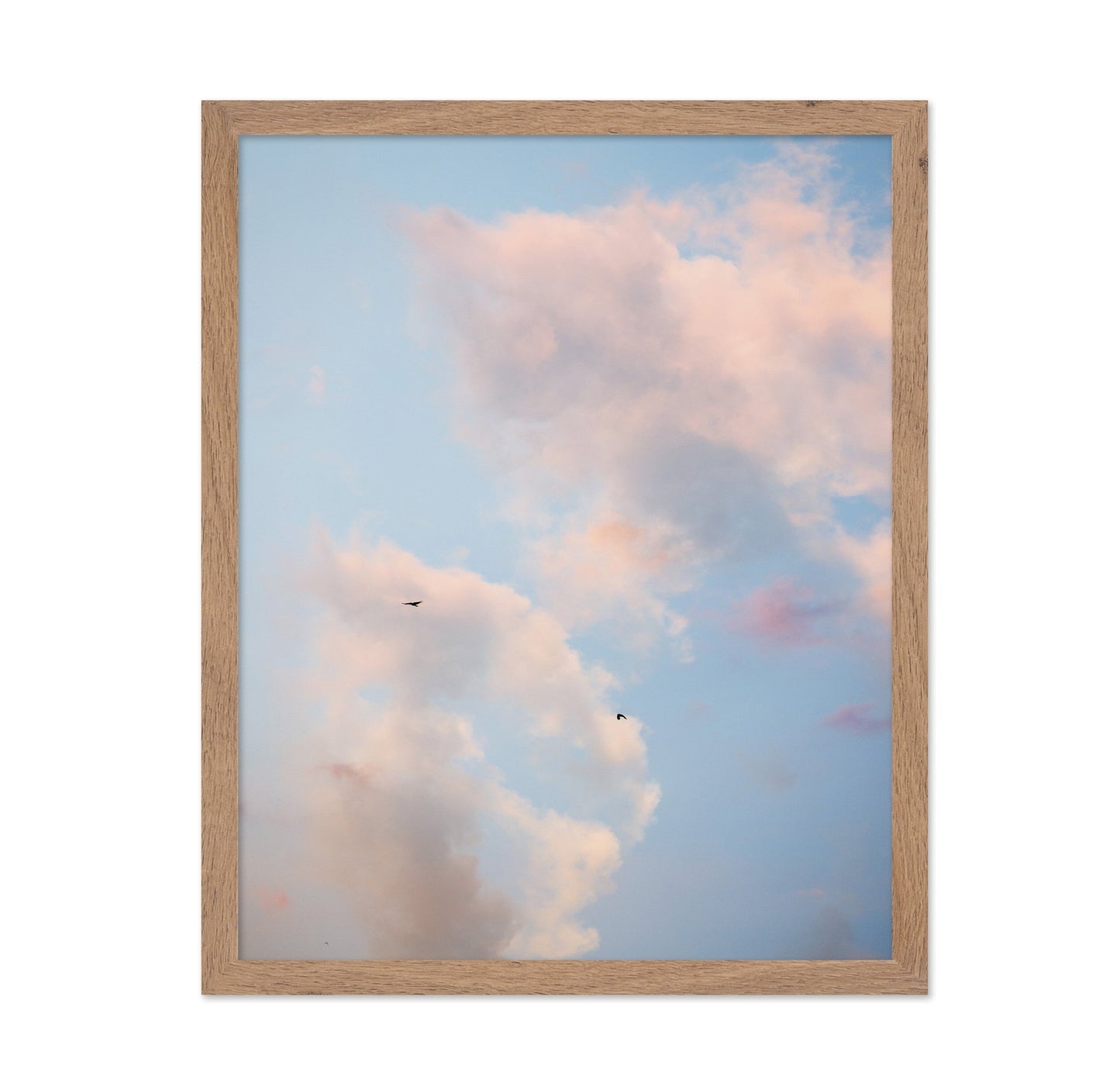 Pastel Sky with Birds