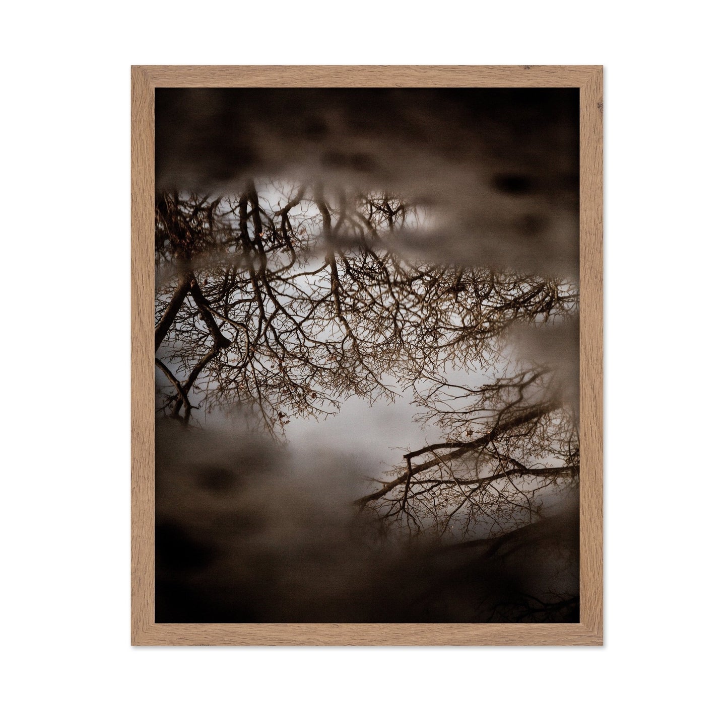Winter Tree Reflection