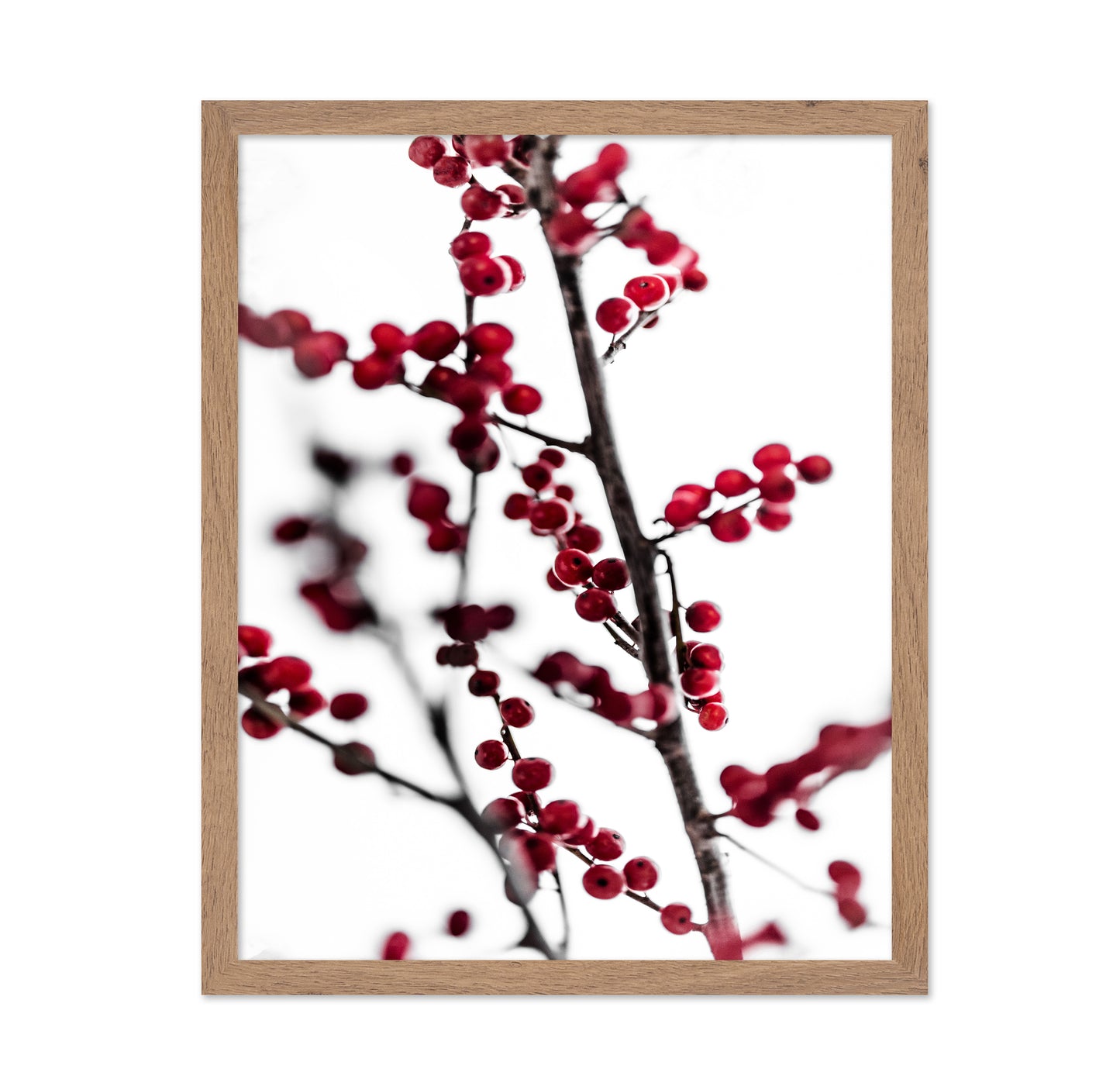 Winter Red Berries