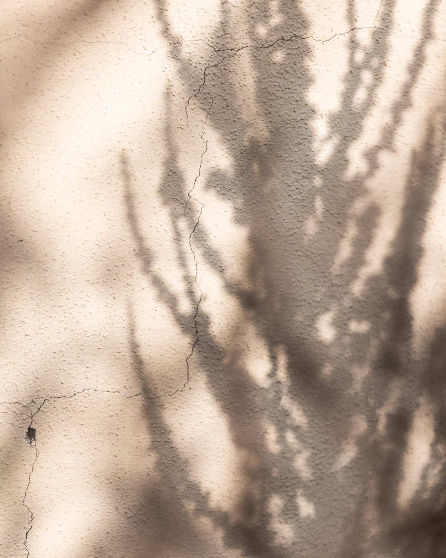 Tree Shadow Texture