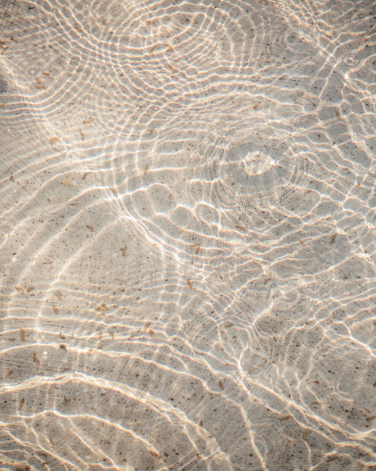 Water Light Patterns