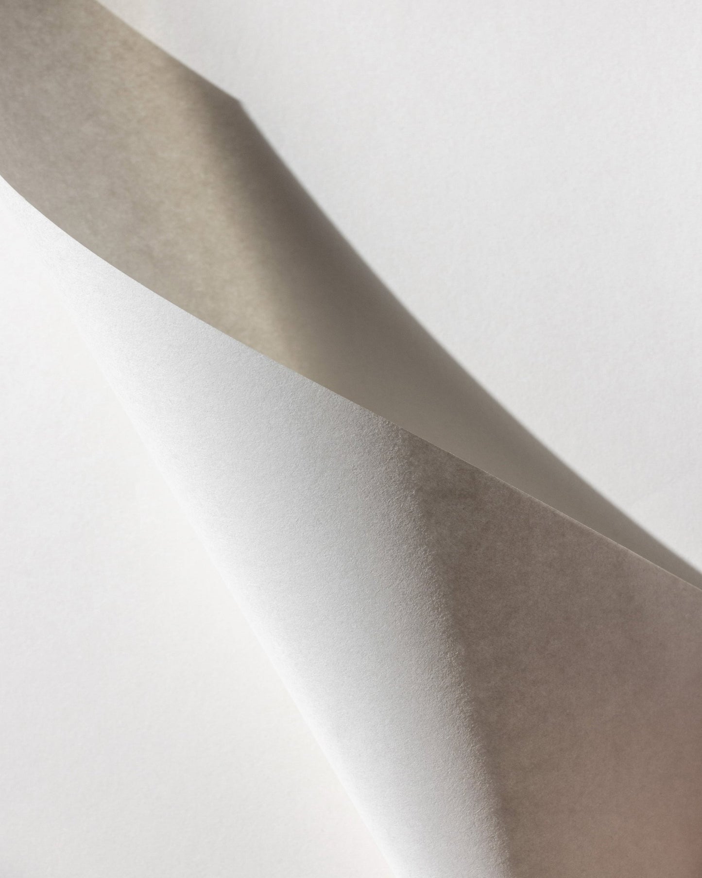 Folded Paper Form No1