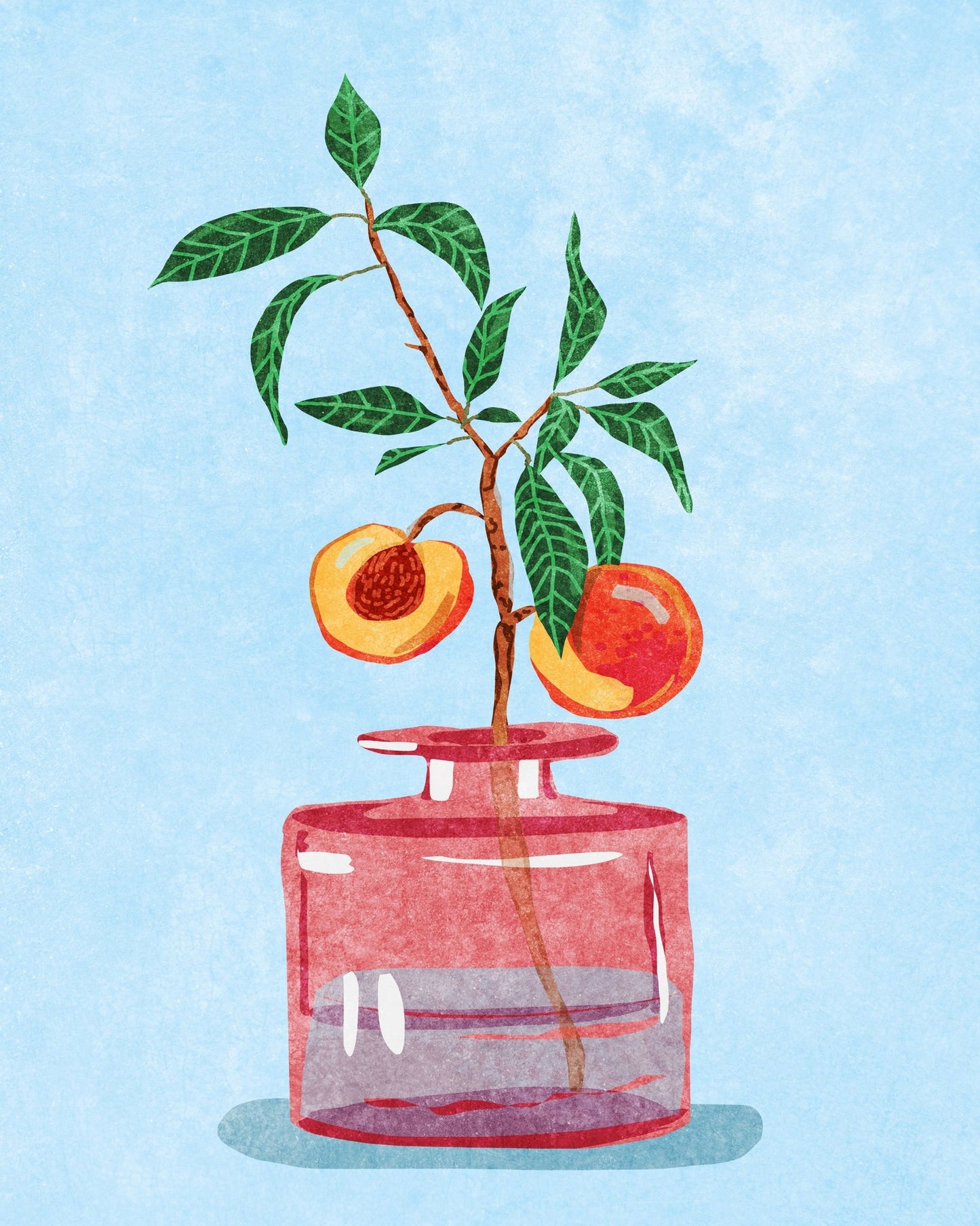 Peach Plant