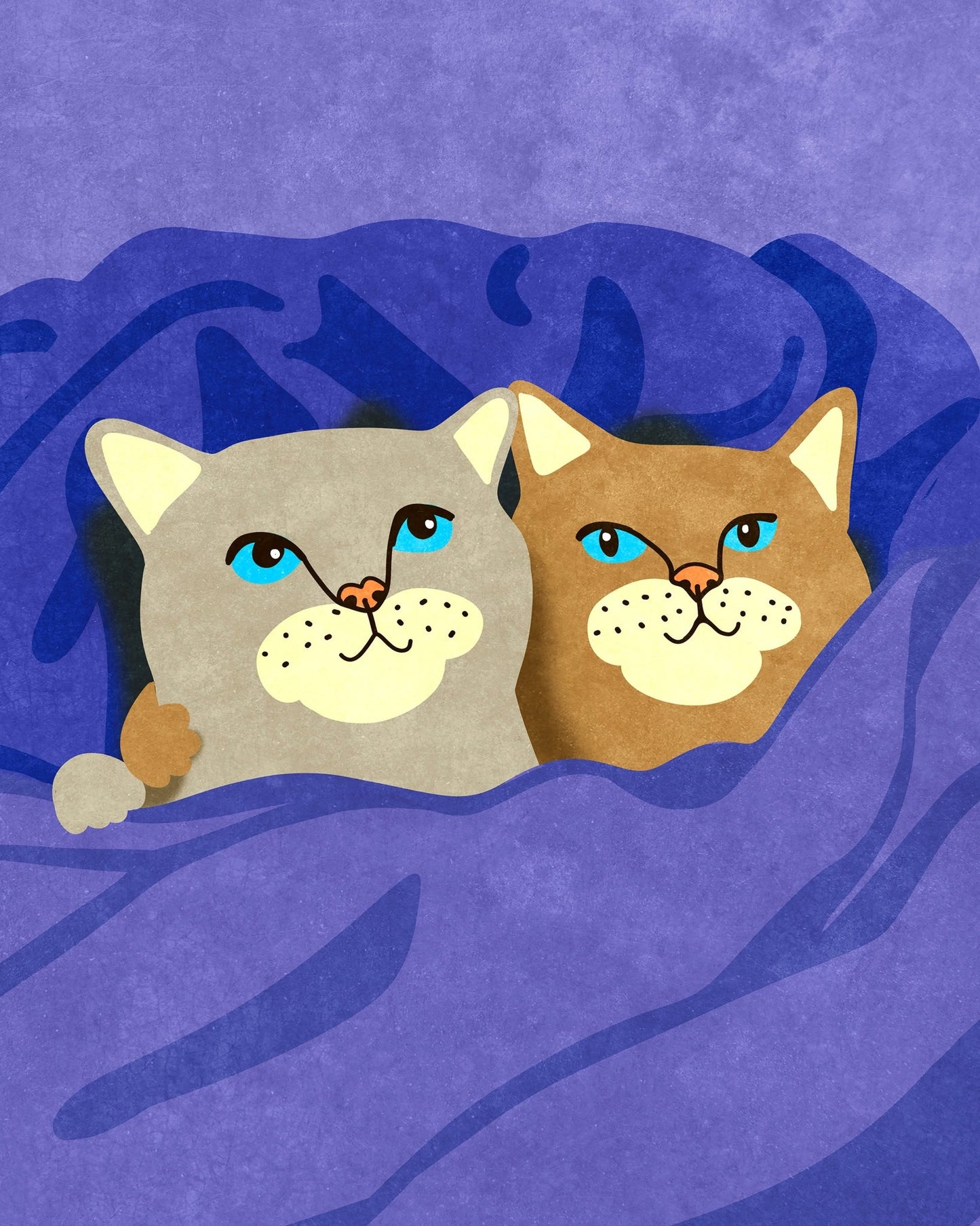 Cozy Cats