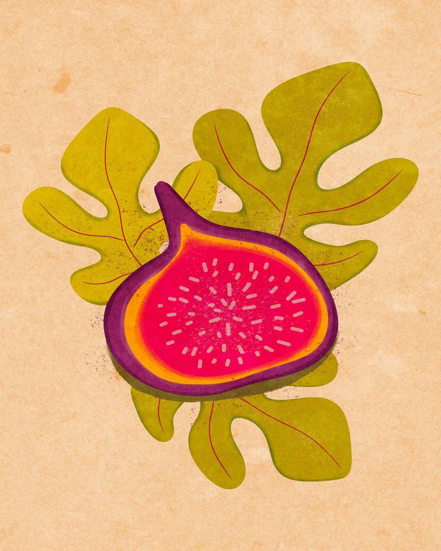 Fig Slice