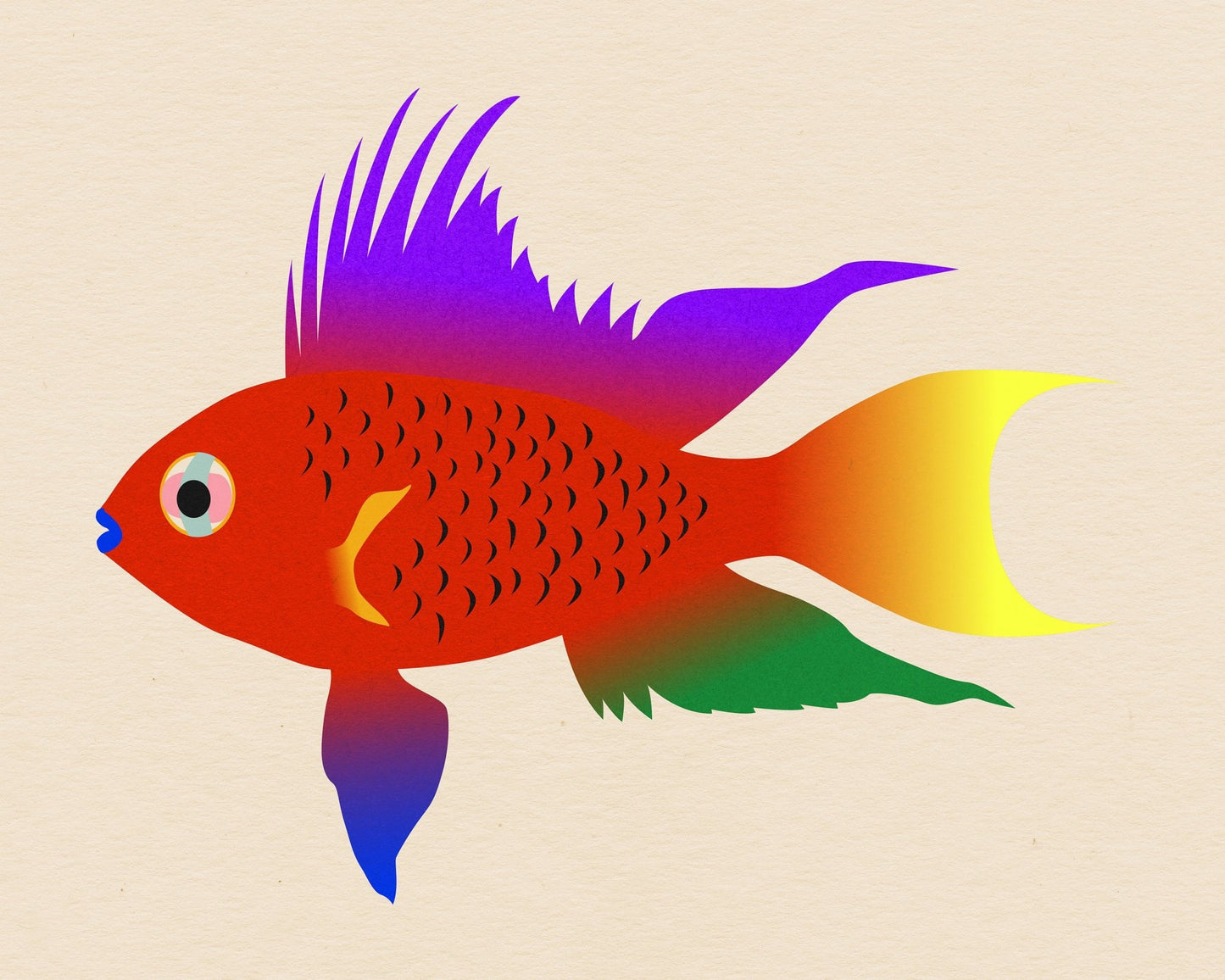 Colorful Fish