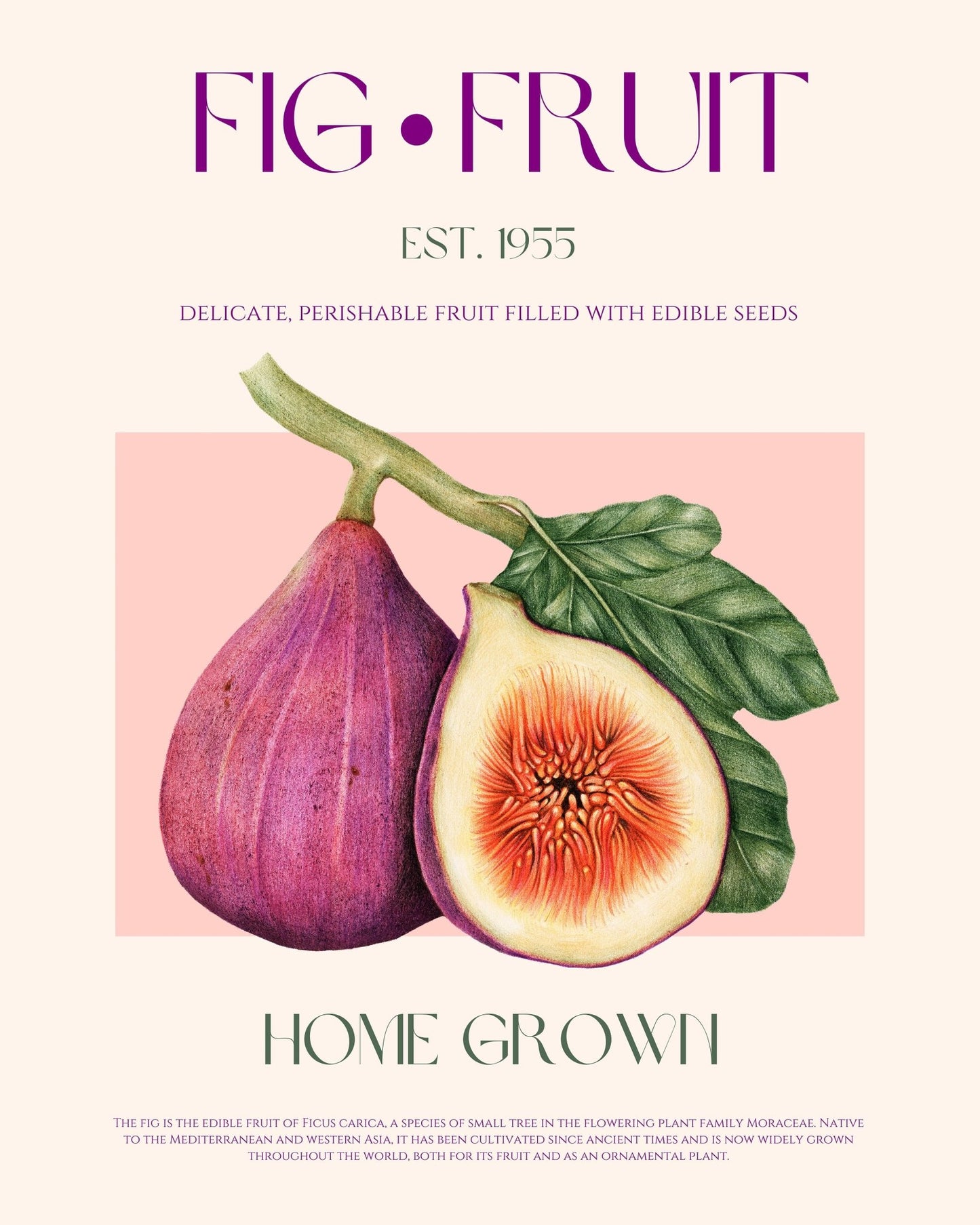 Fresh Fig