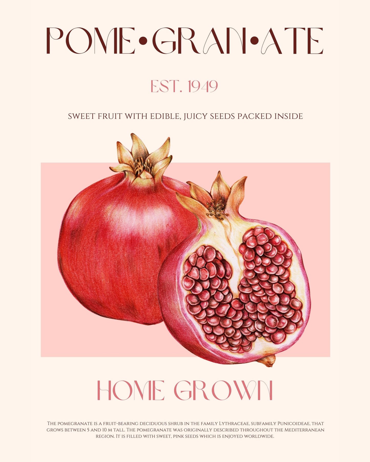 Pomegranate Fruit