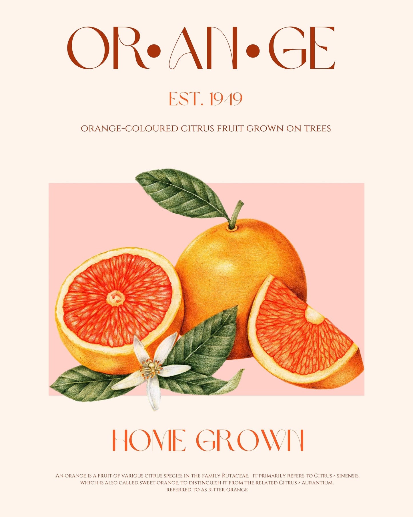 Vintage Orange Citrus