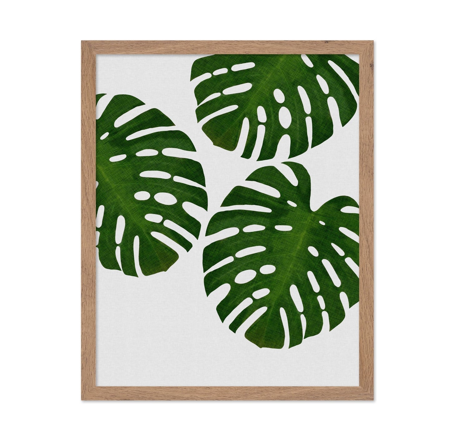 Green Monstera Leaves