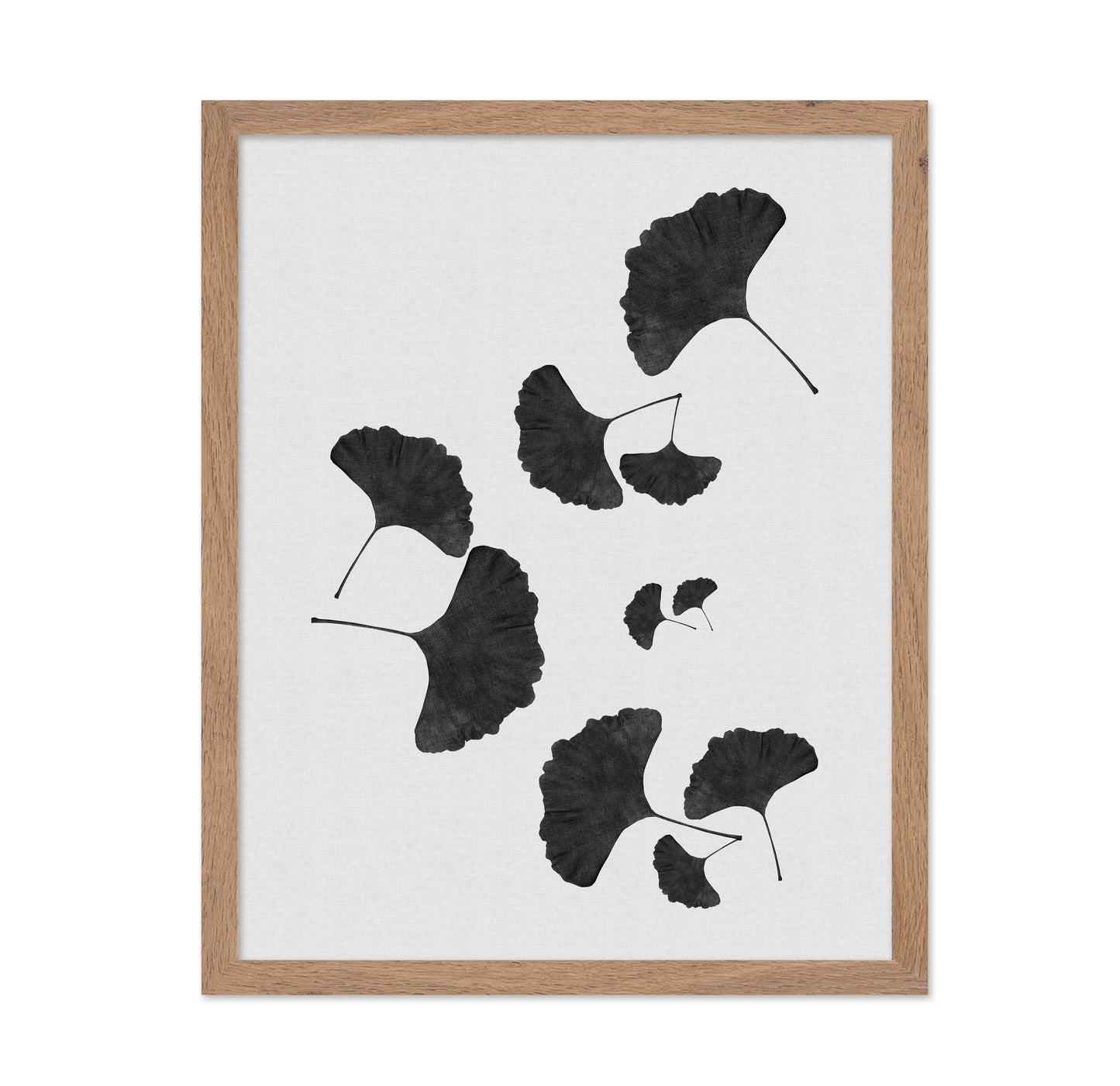 Black Ginkgo Cluster