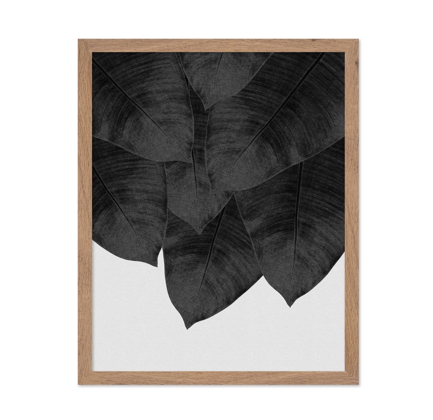 Black Banana Leaves