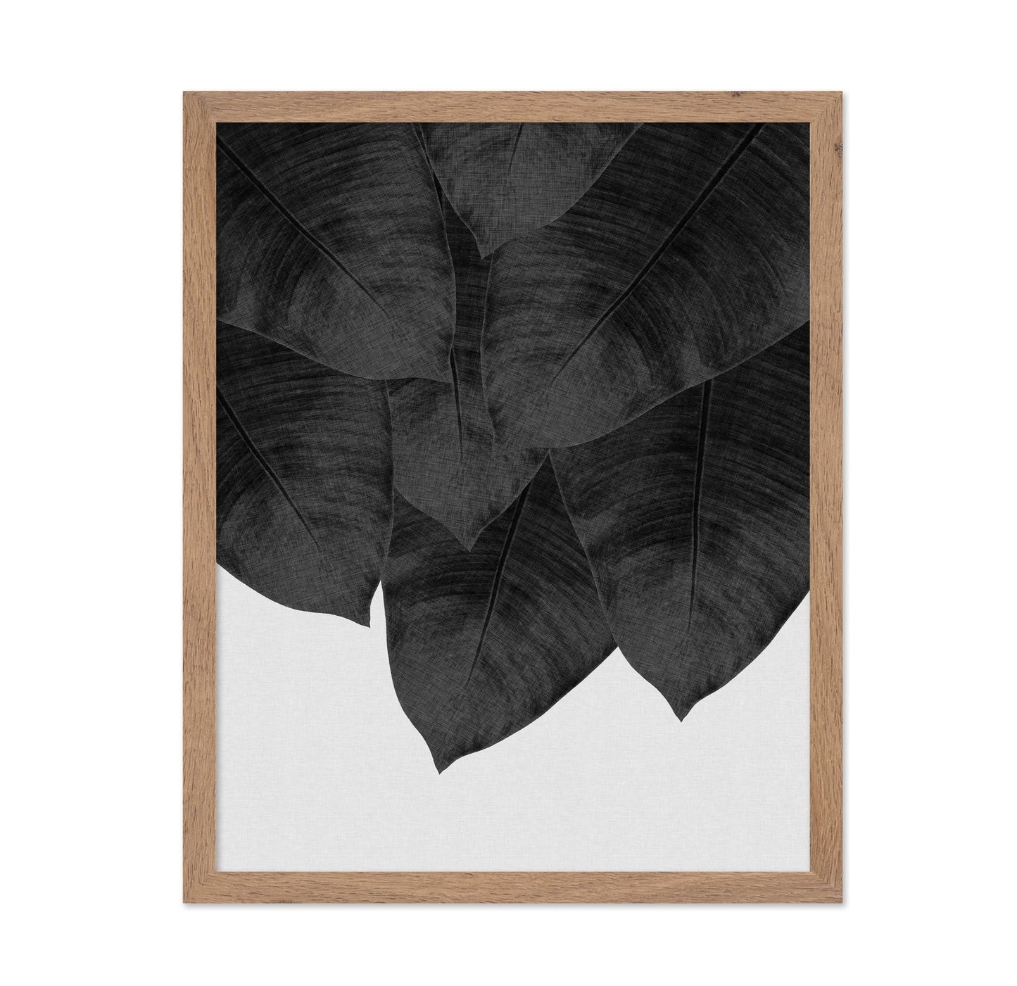 Black Banana Leaves