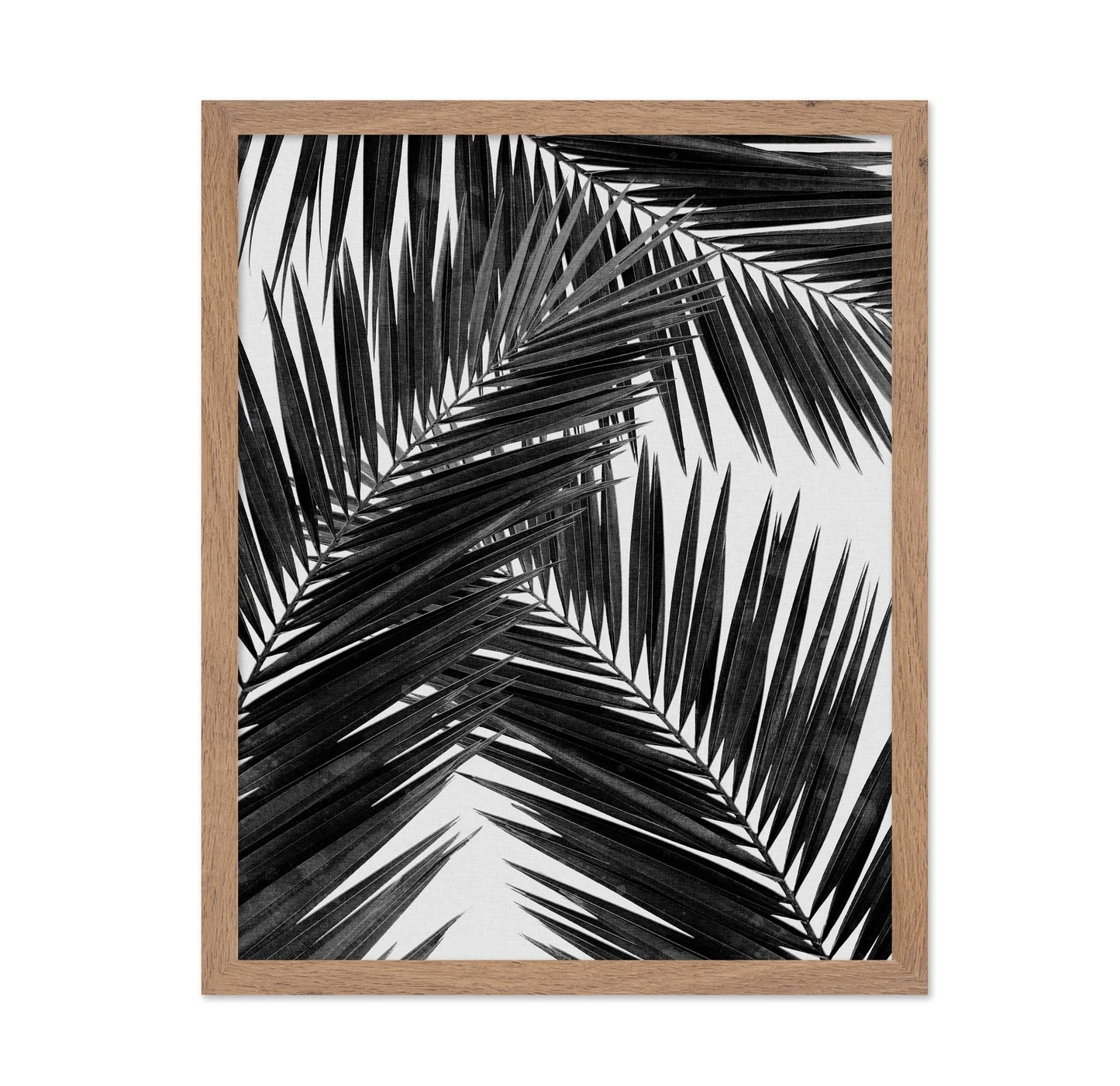 Black Palm Leaves