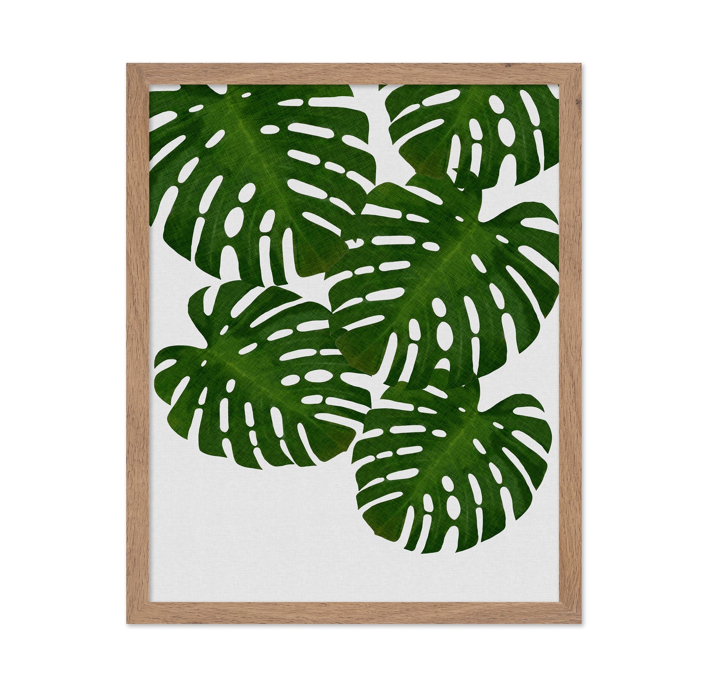 Monstera Leaves No1