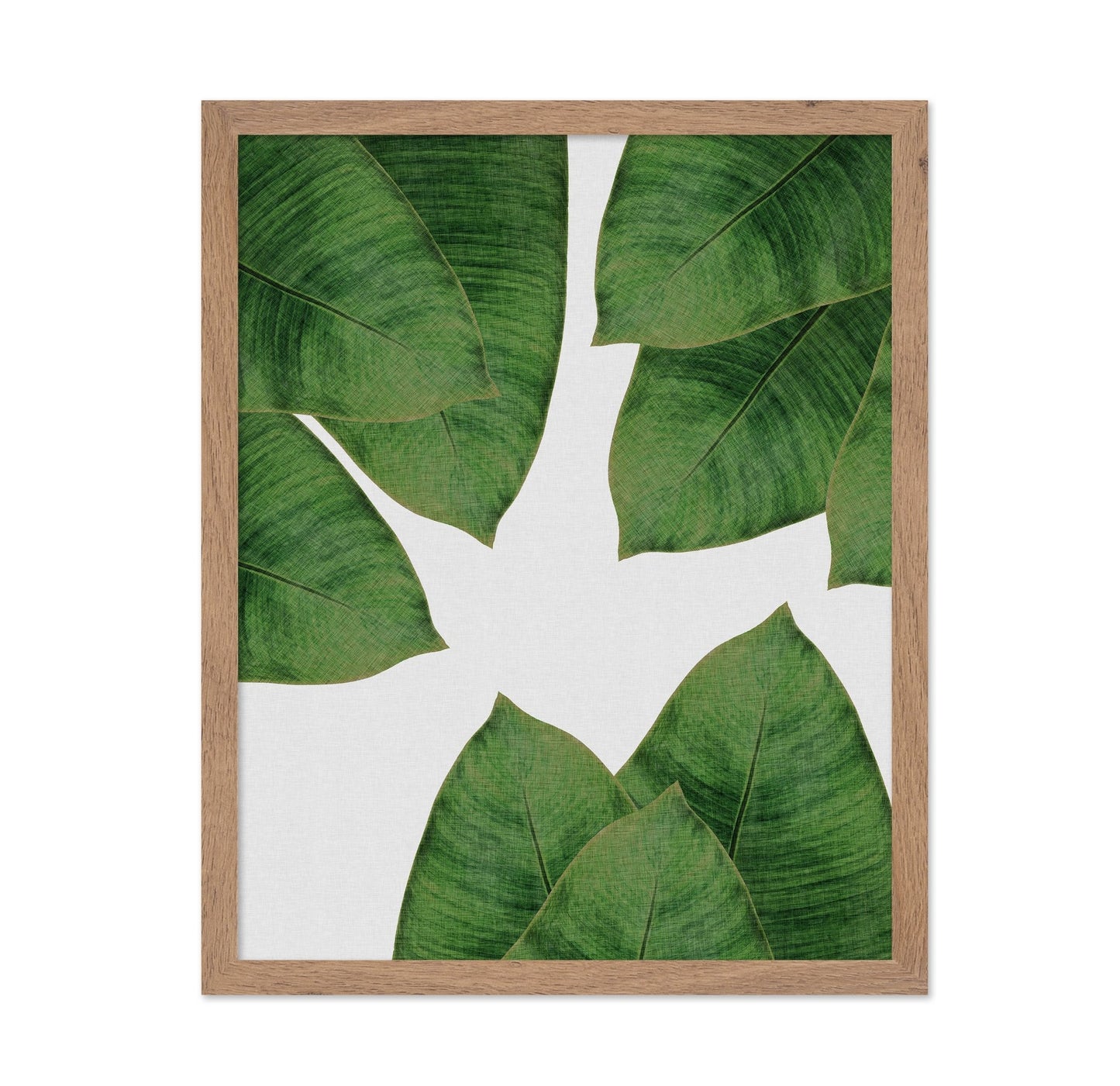 Banana Leaves