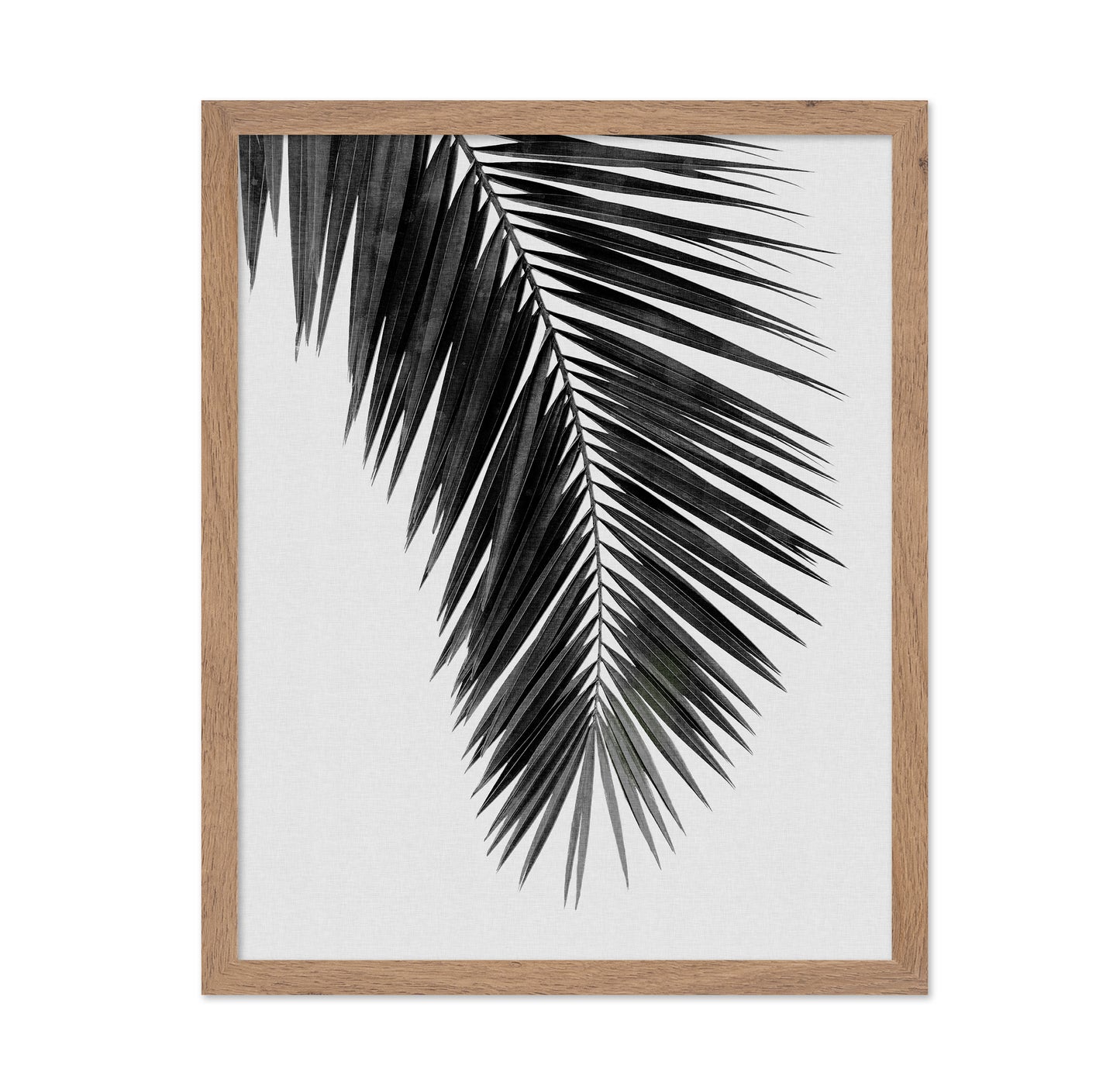 Palm Leaf Black