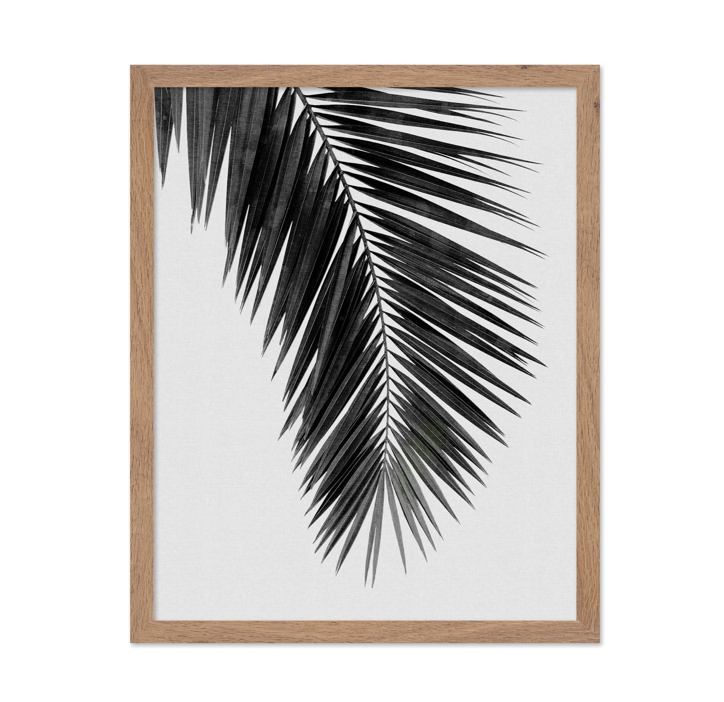 Palm Leaf Black