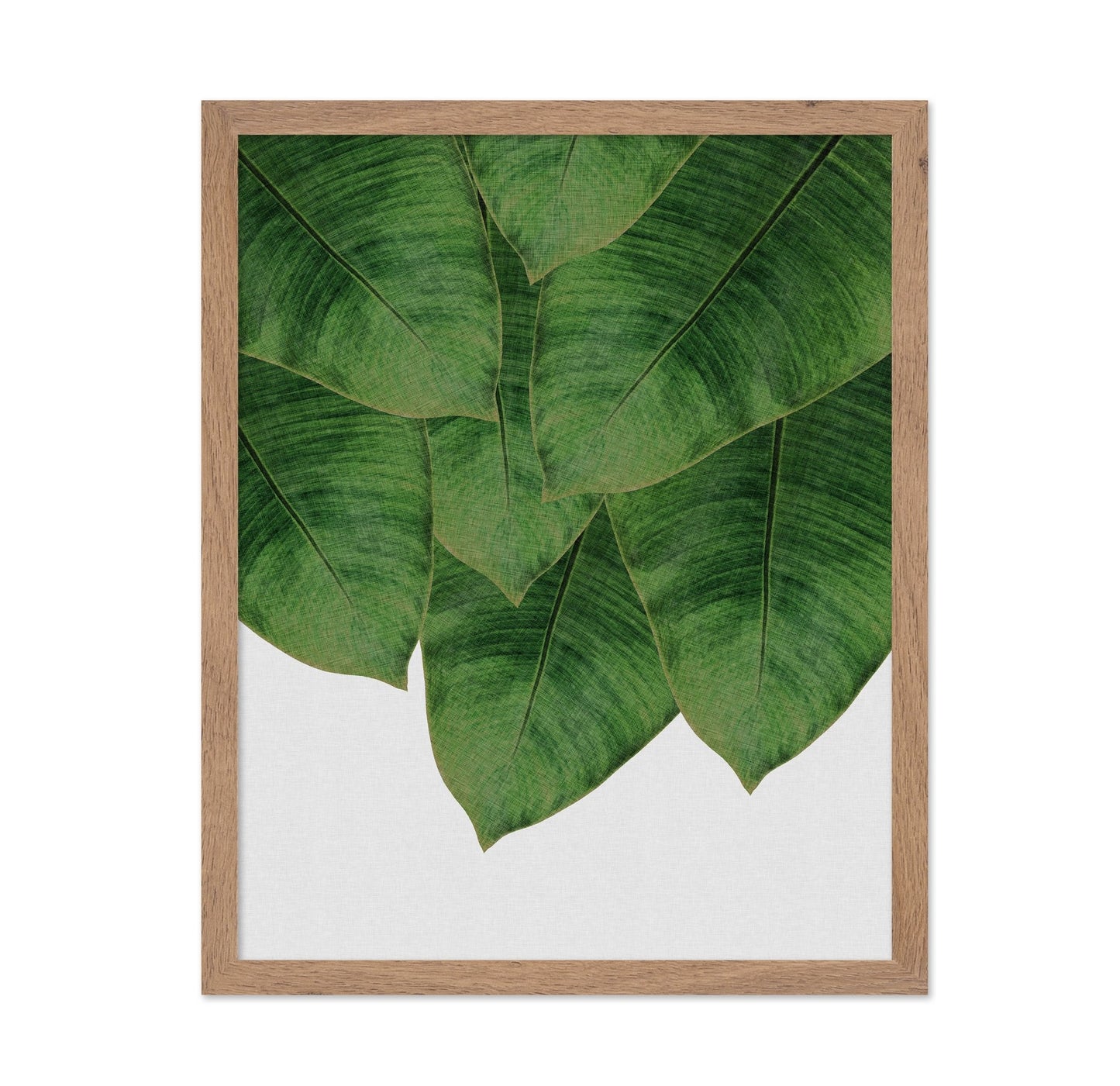 Banana Leaves Cluster