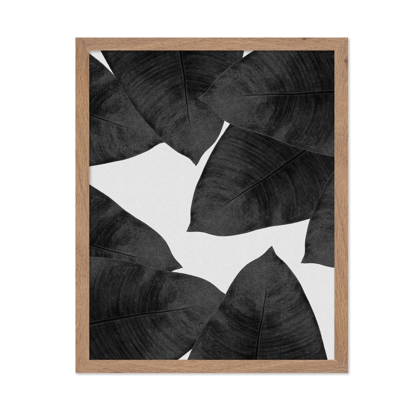 Banana Leaves BW
