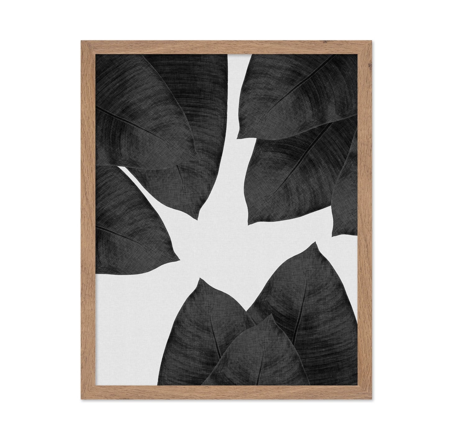 Banana Leaf Black White