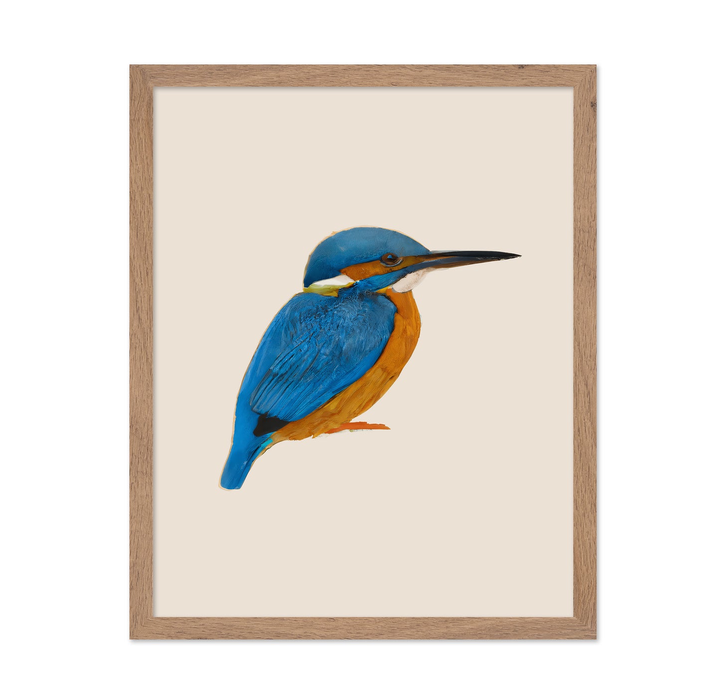 Blue Kingfisher