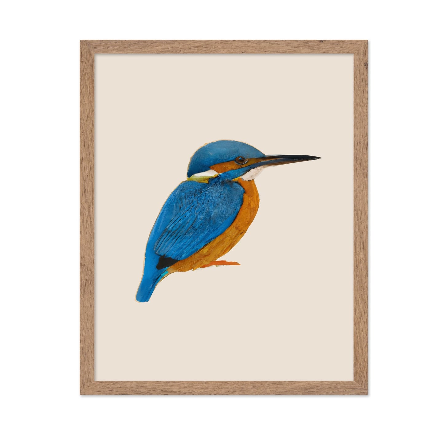 Blue Kingfisher